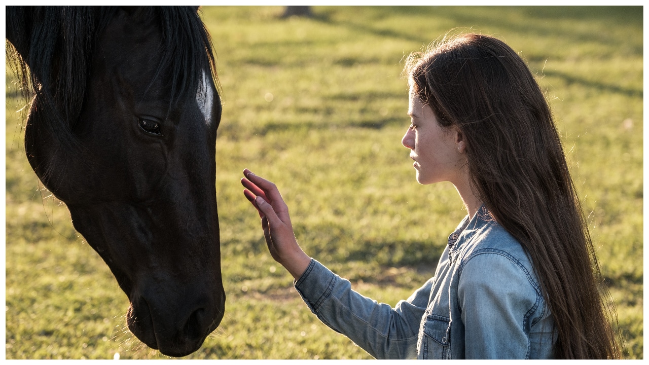 Mackenzie Foy Black Beauty Wallpapers