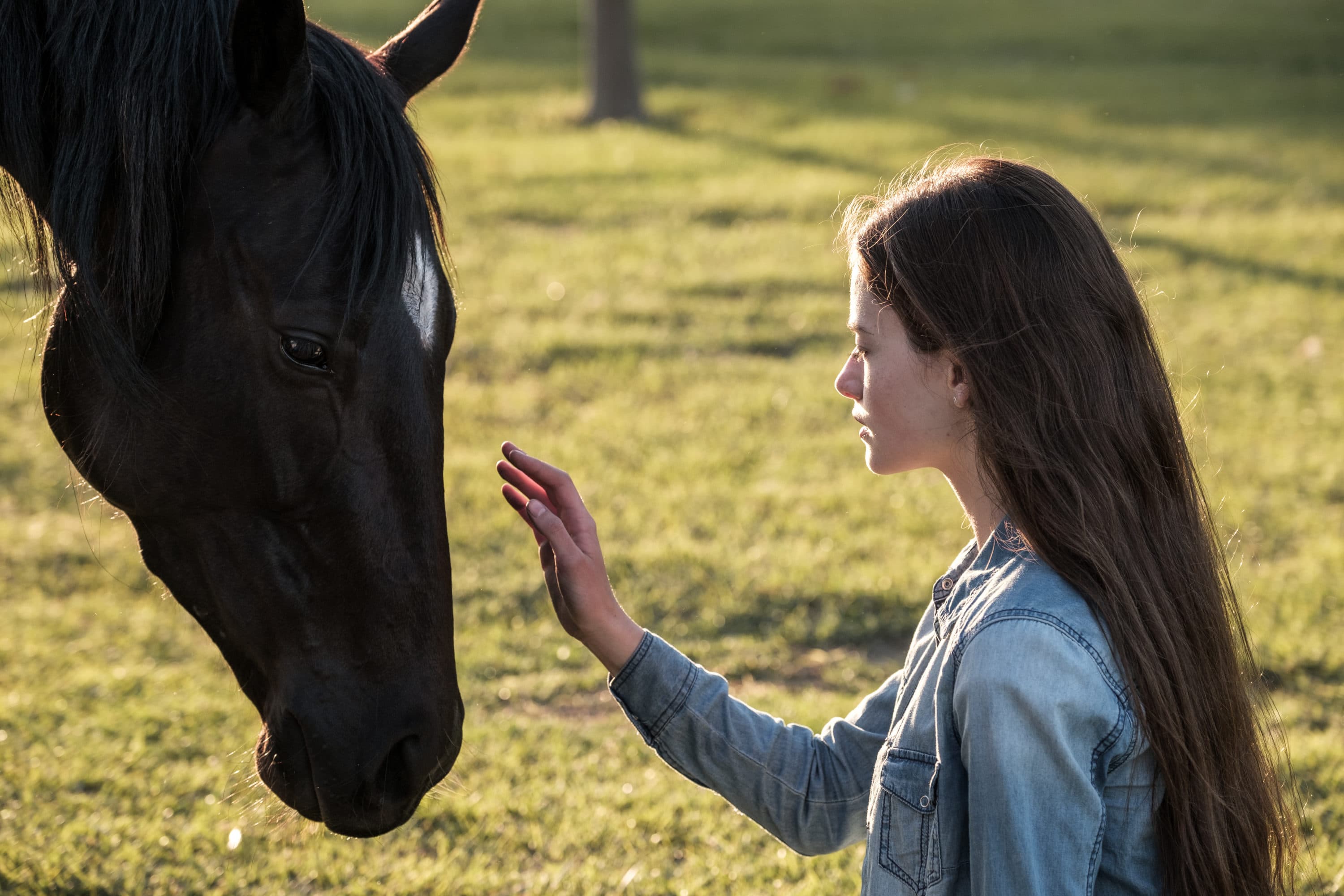 Mackenzie Foy Black Beauty Wallpapers