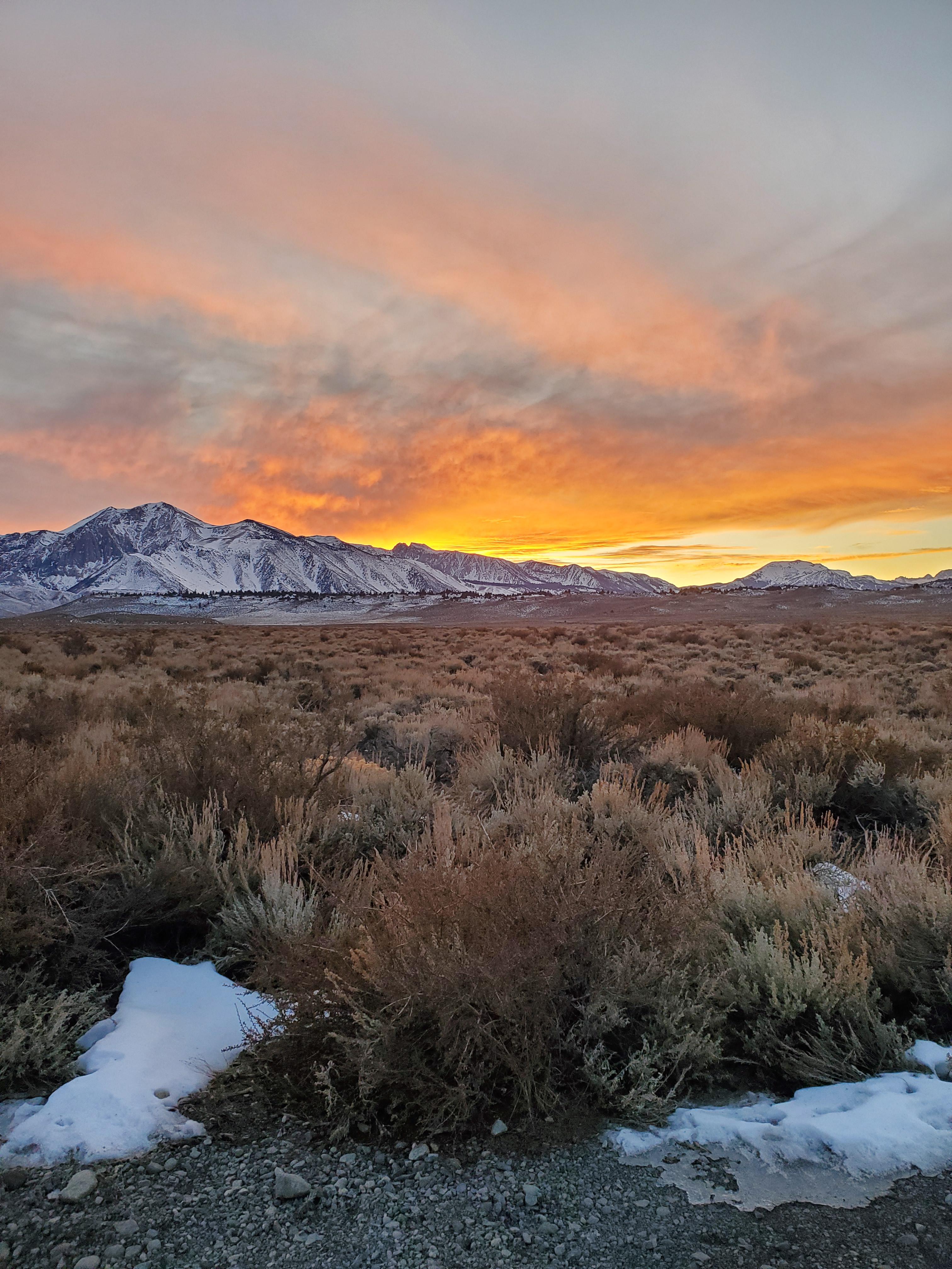 Macos High Sierra Wallpapers