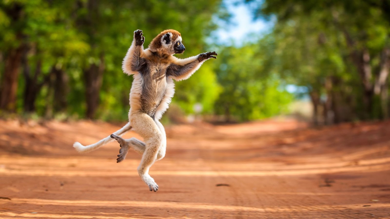 Madagascar Country Wallpapers