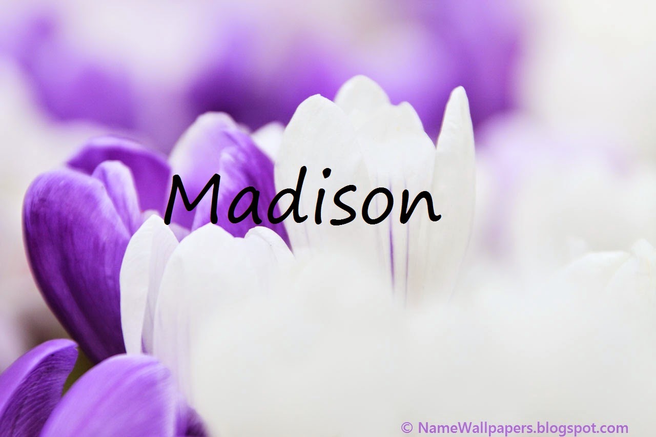 Madison Wallpapers