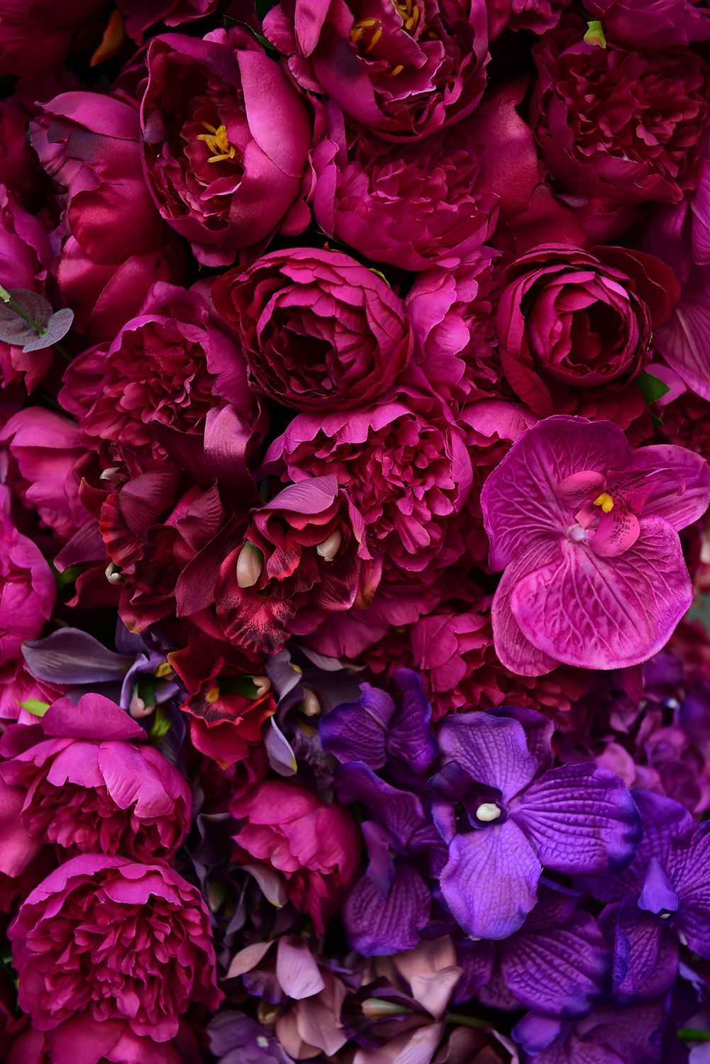 Magenta Flower Wallpapers