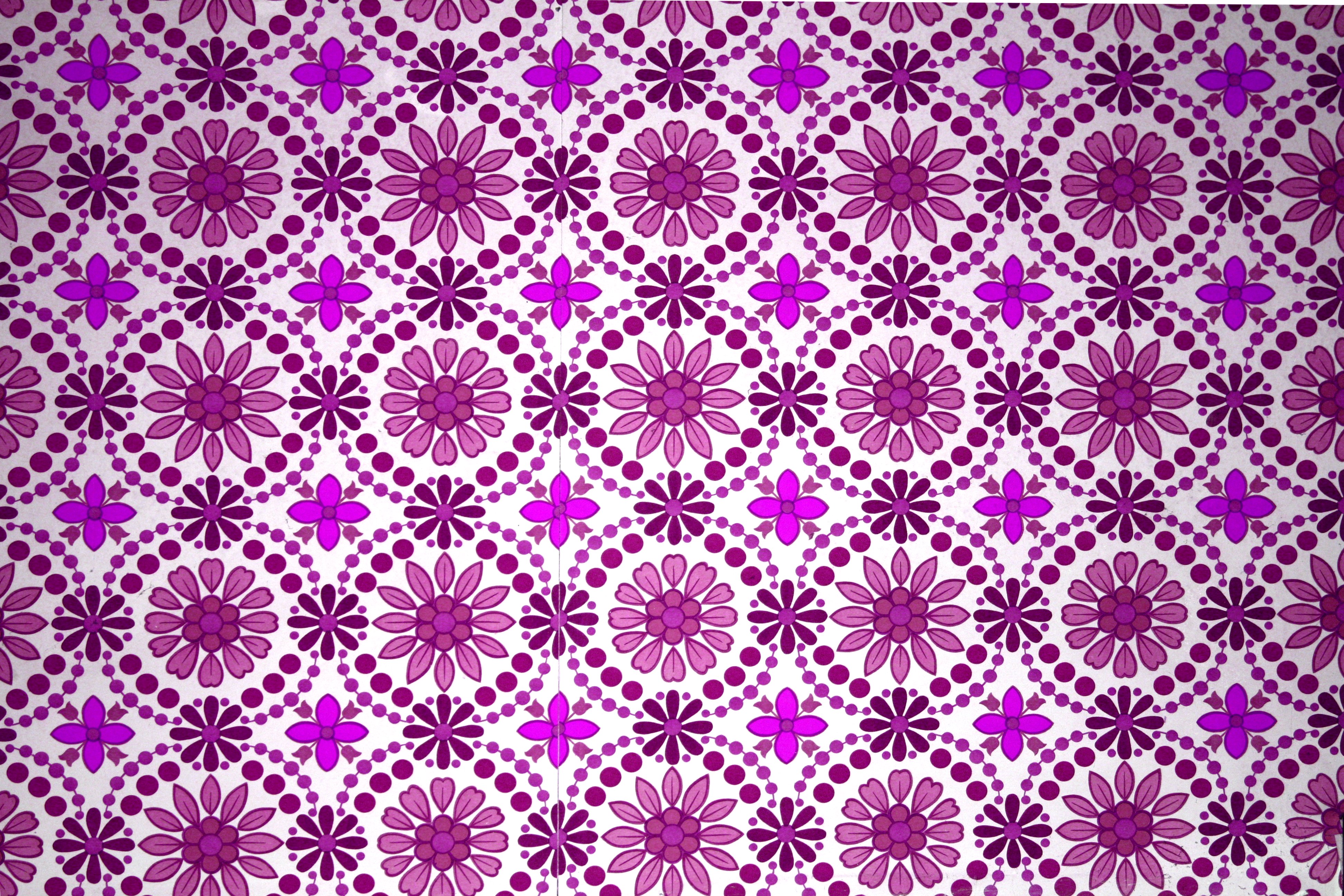 Magenta Flower Wallpapers