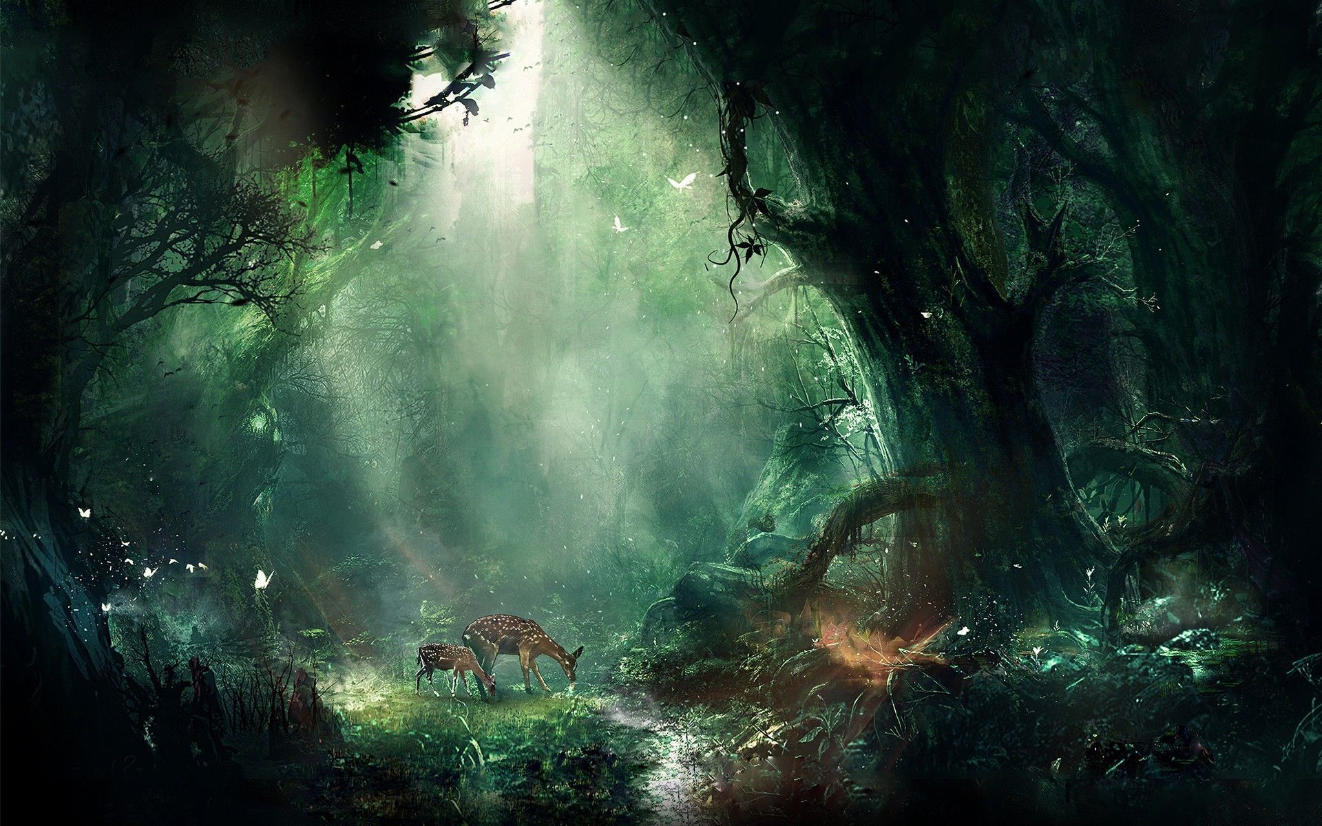 Magic Forest Wallpapers