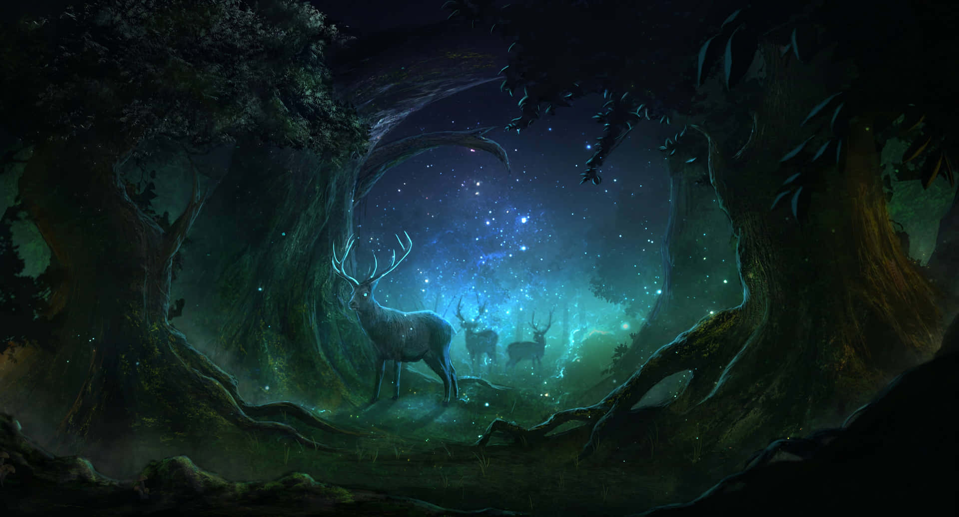 Magic Forest Wallpapers