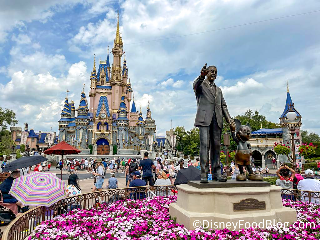 Magic Kingdom Background