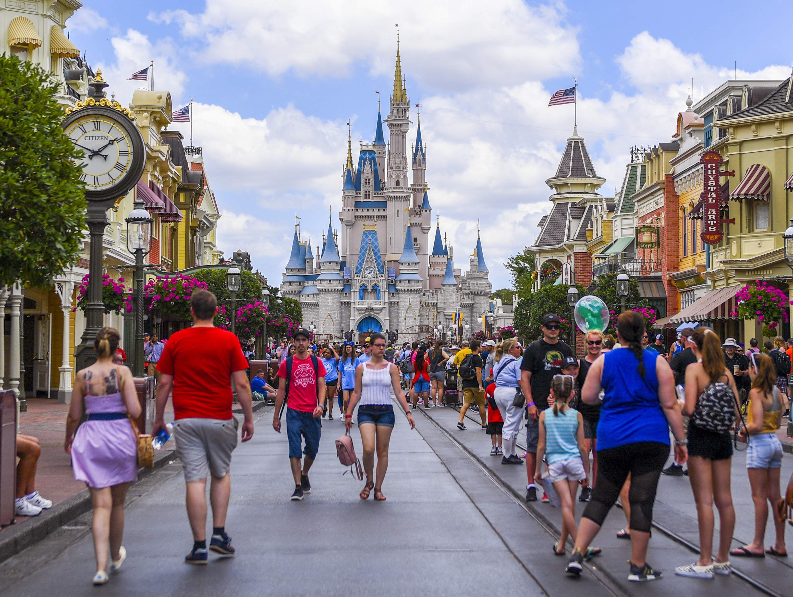 Magic Kingdom Background