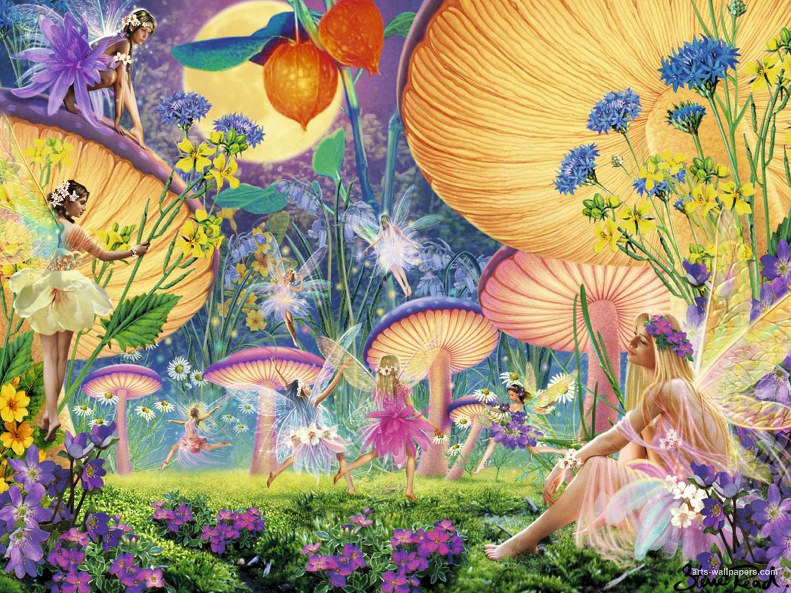 Magical Fairy Landscapes Wallpapers