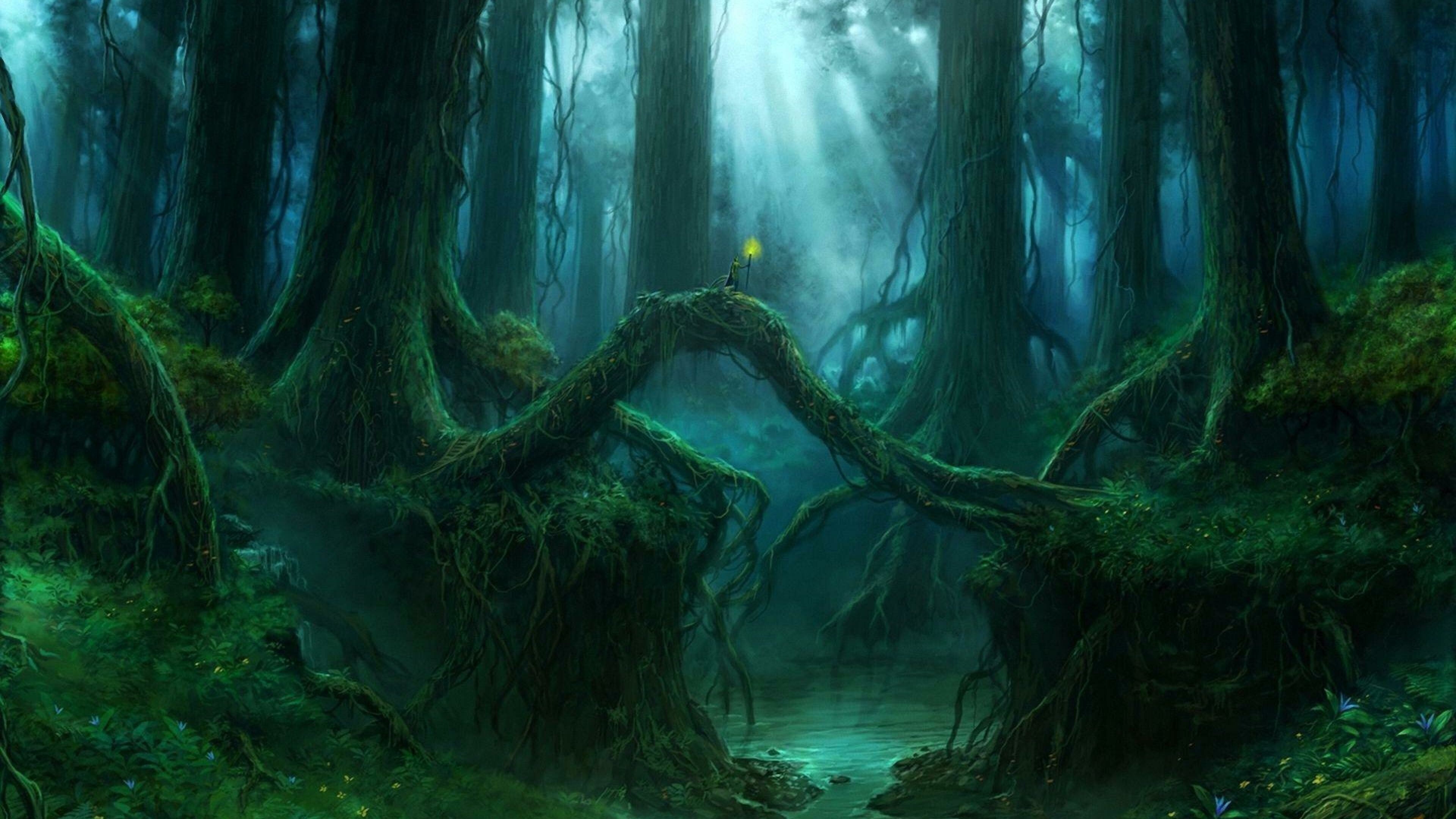 Magical Forest Wallpapers