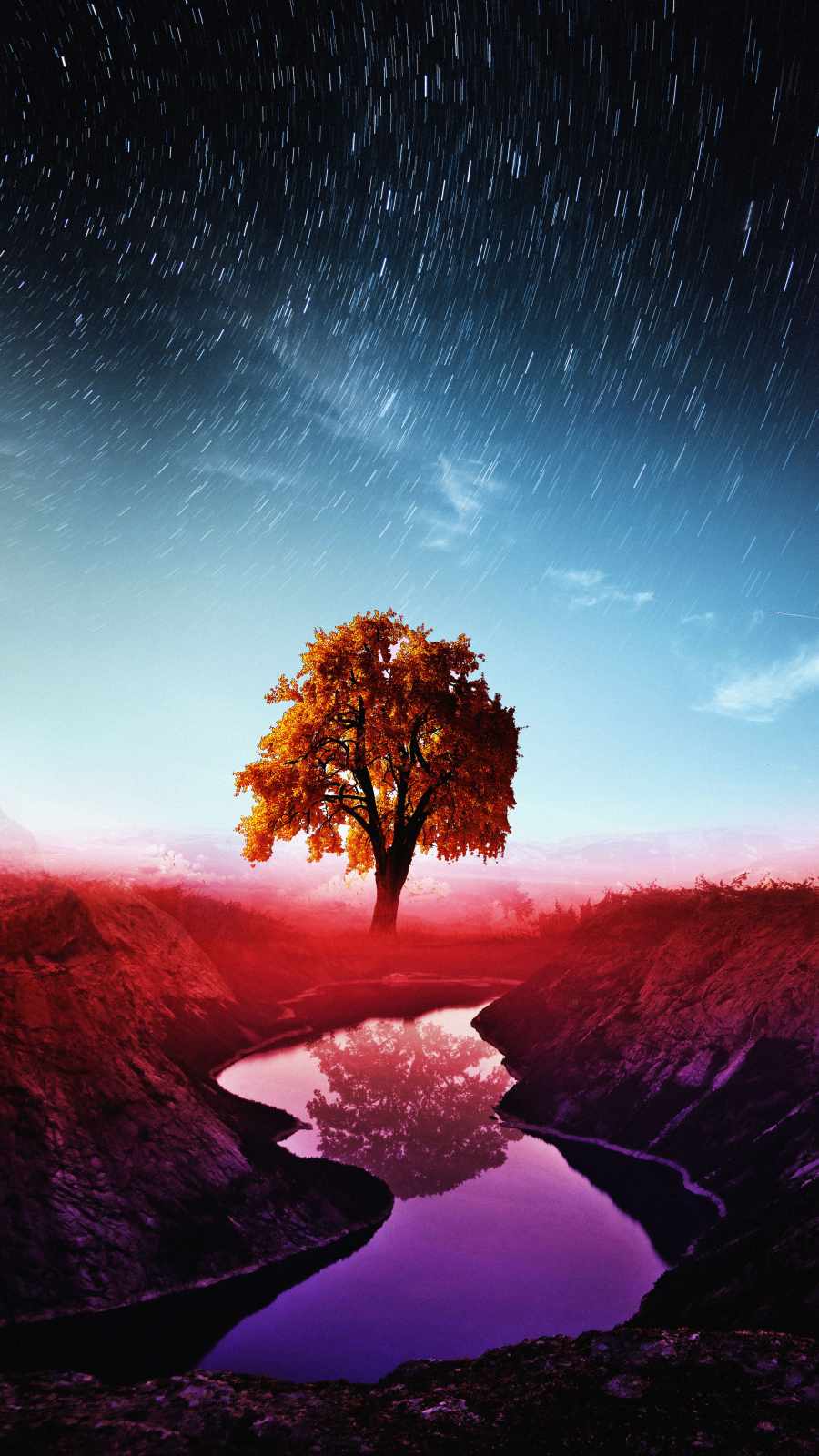 Magical Tree Art
 Wallpapers