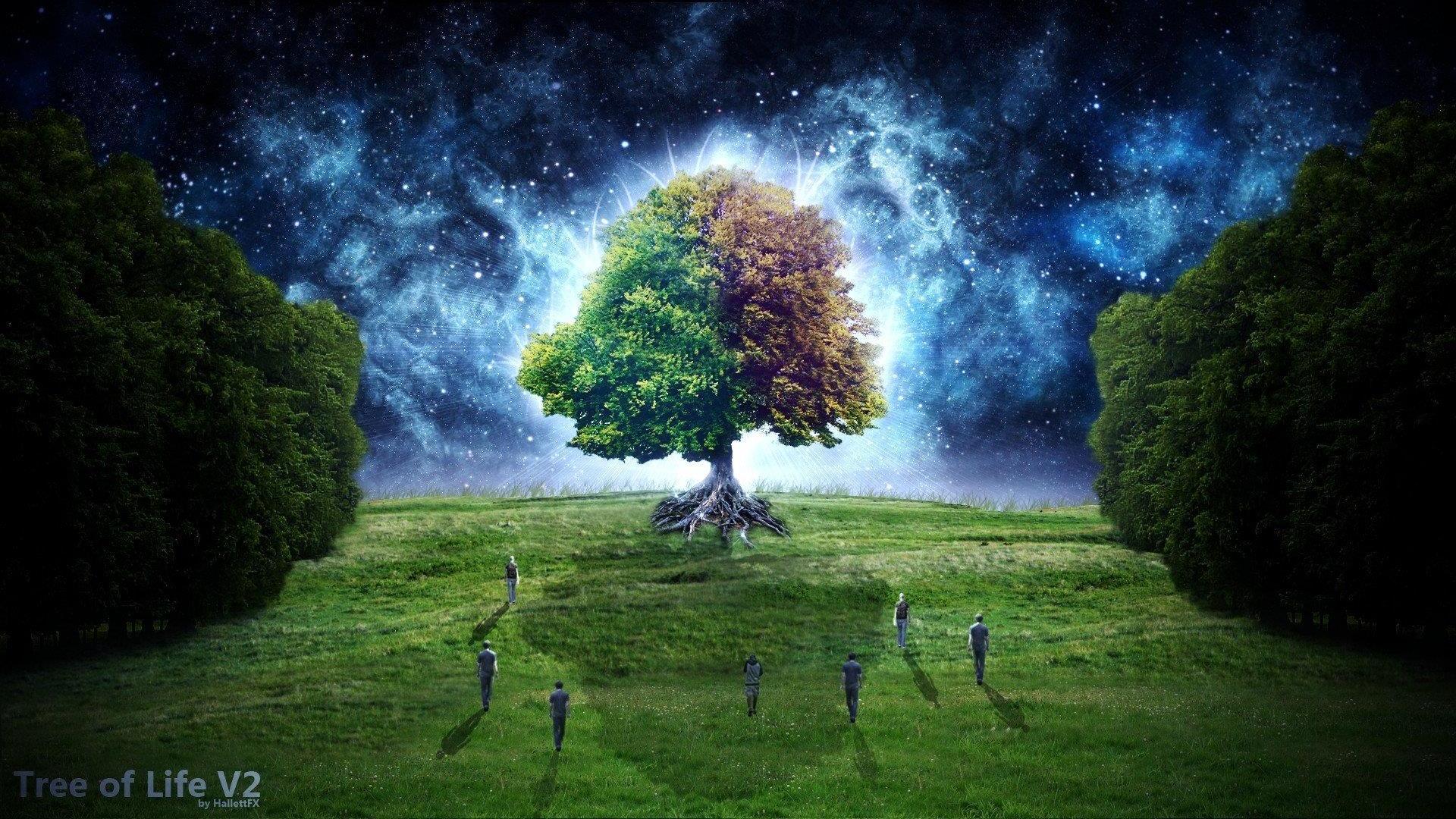 Magical Tree Art
 Wallpapers