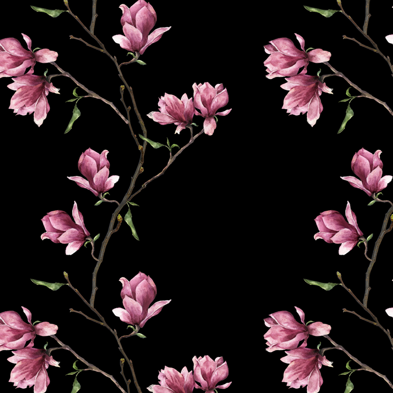 Magnolia Wallpapers