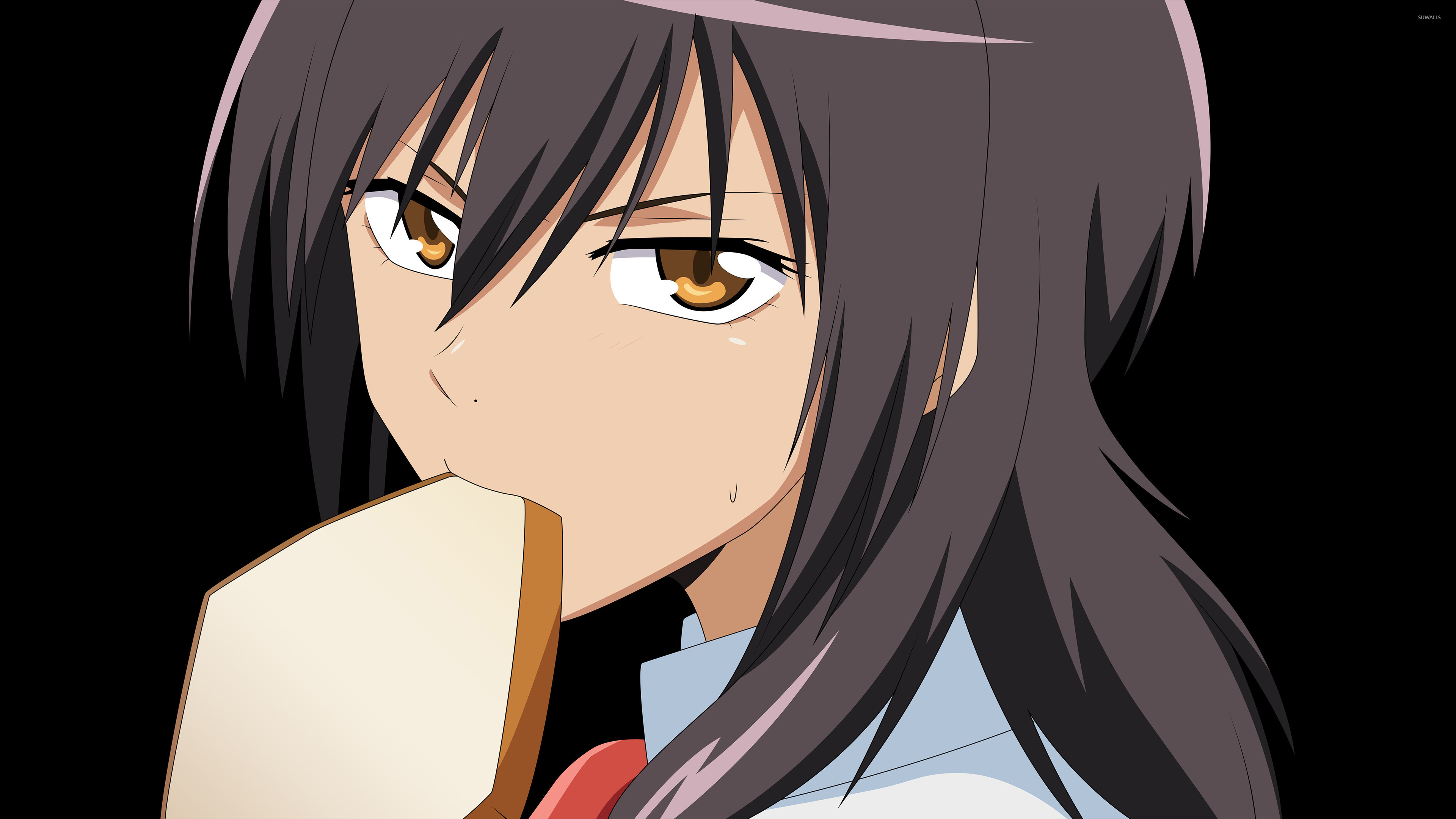 Maid Sama! Wallpapers