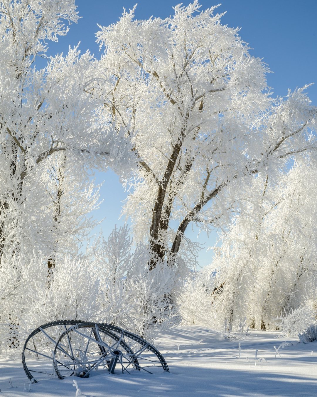 Maine Winter Scene Wallpapers