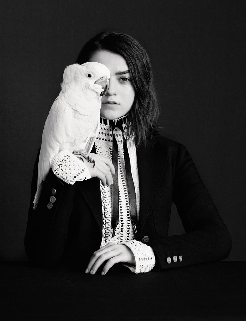 Maisie Williams Monochrome Wallpapers