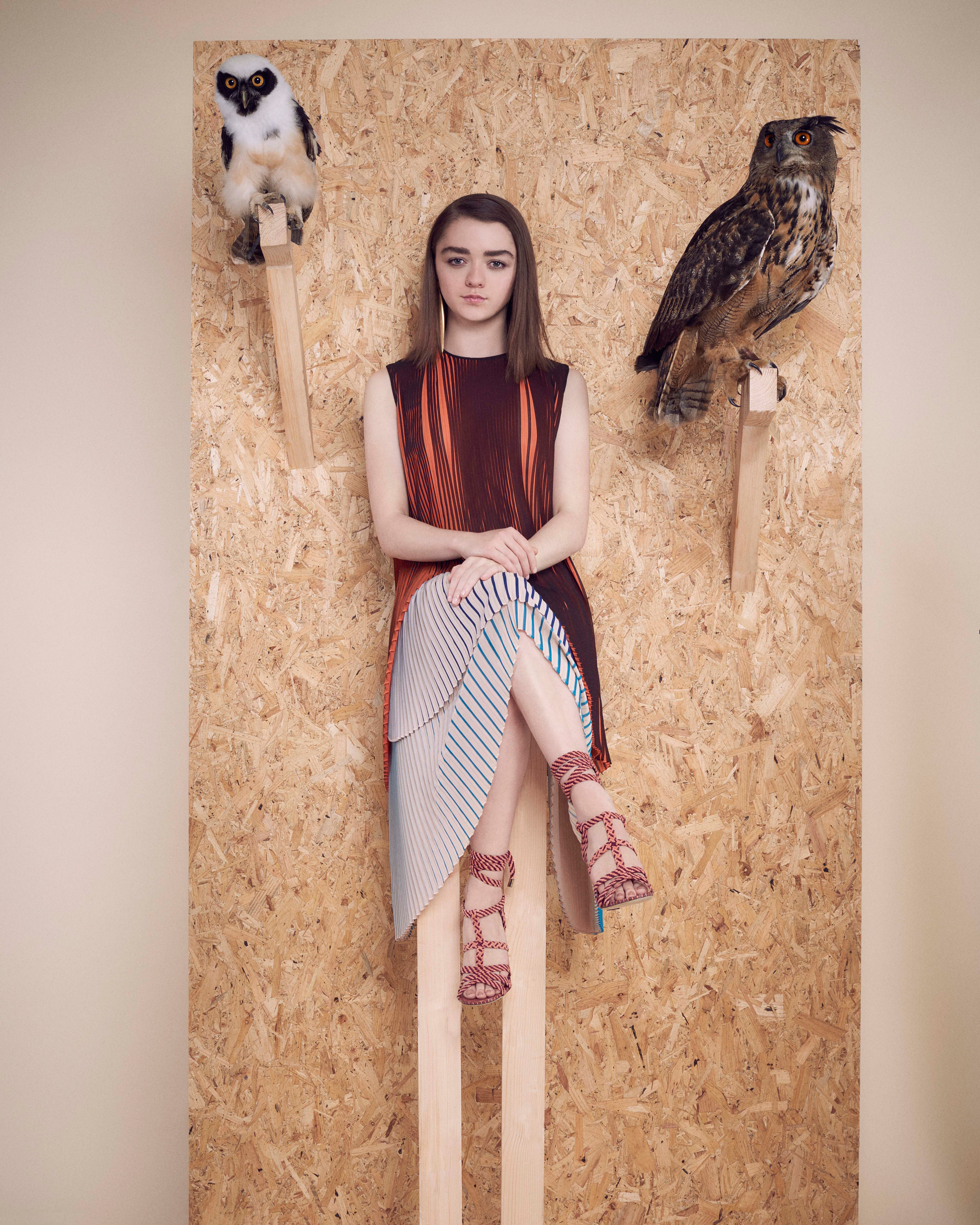 Maisie Williams with Owl Wallpapers