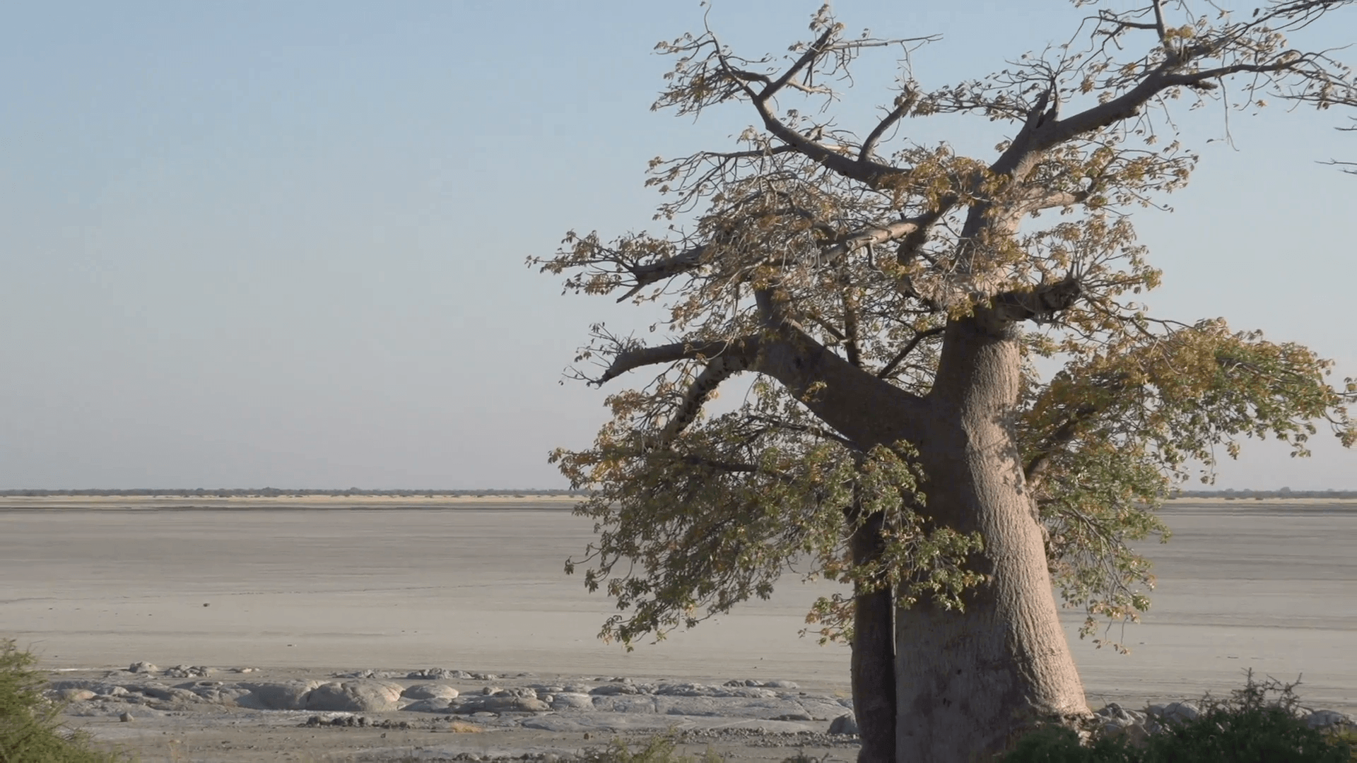 Makgadikgadi Pan Wallpapers