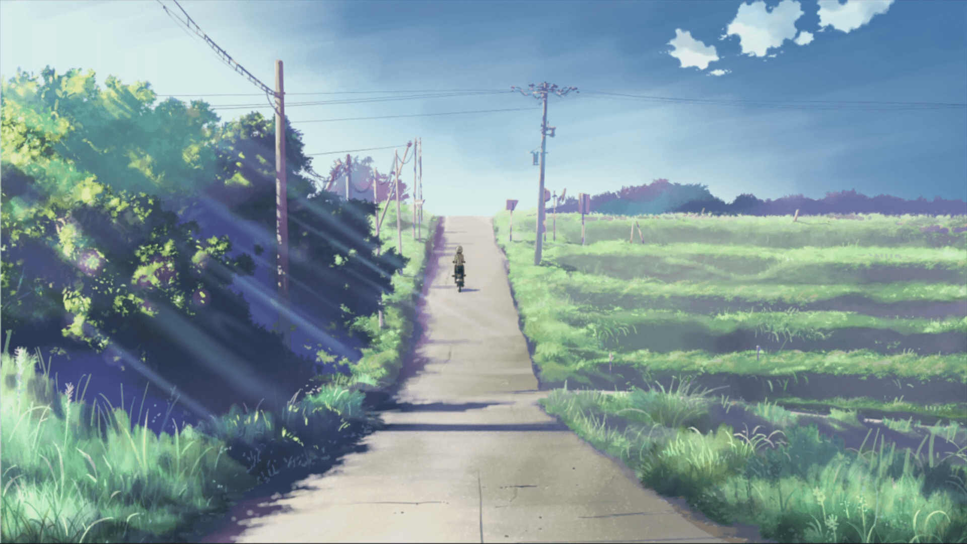 Makoto Shinkai Wallpapers