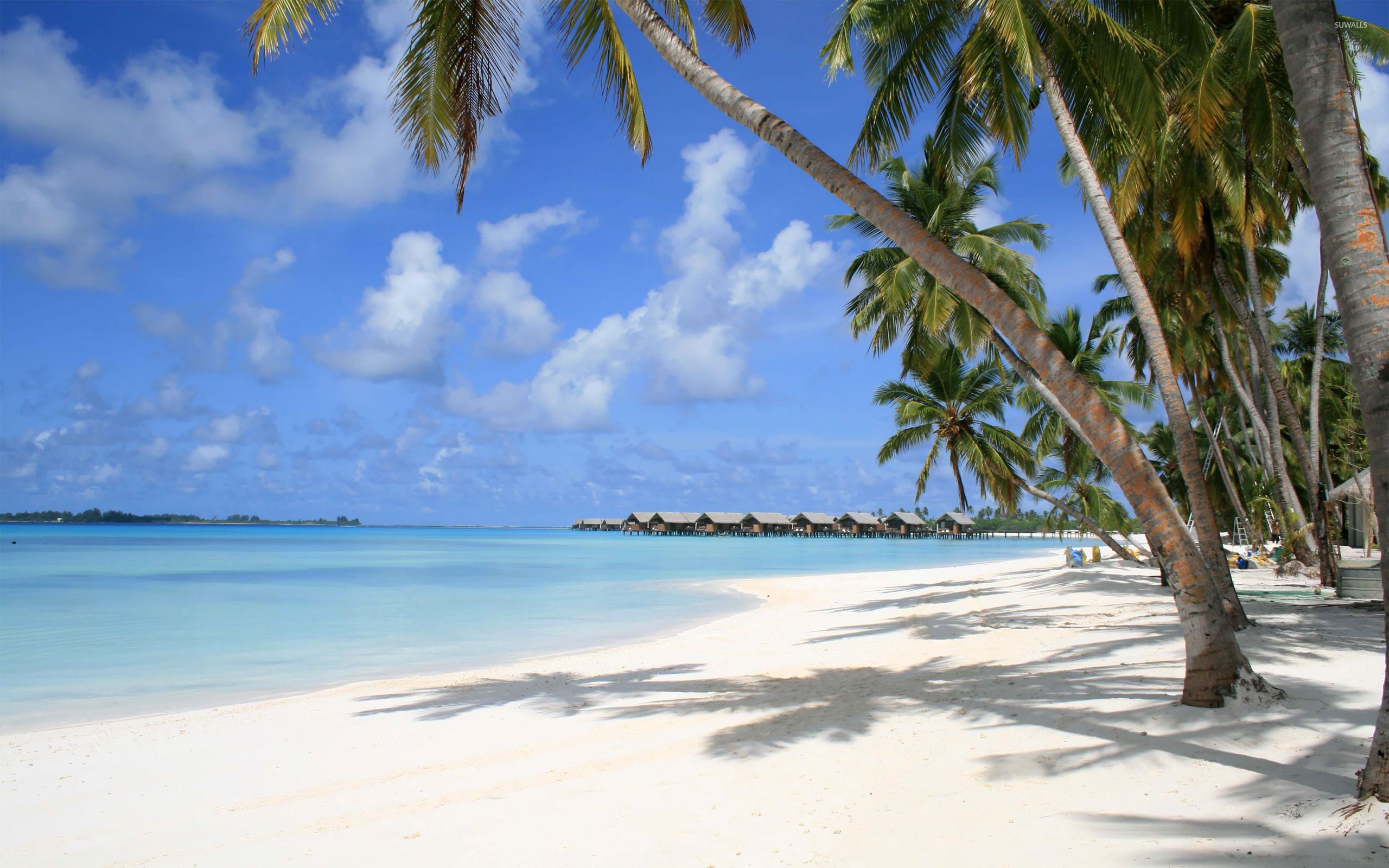 Maldives Beach Wallpapers