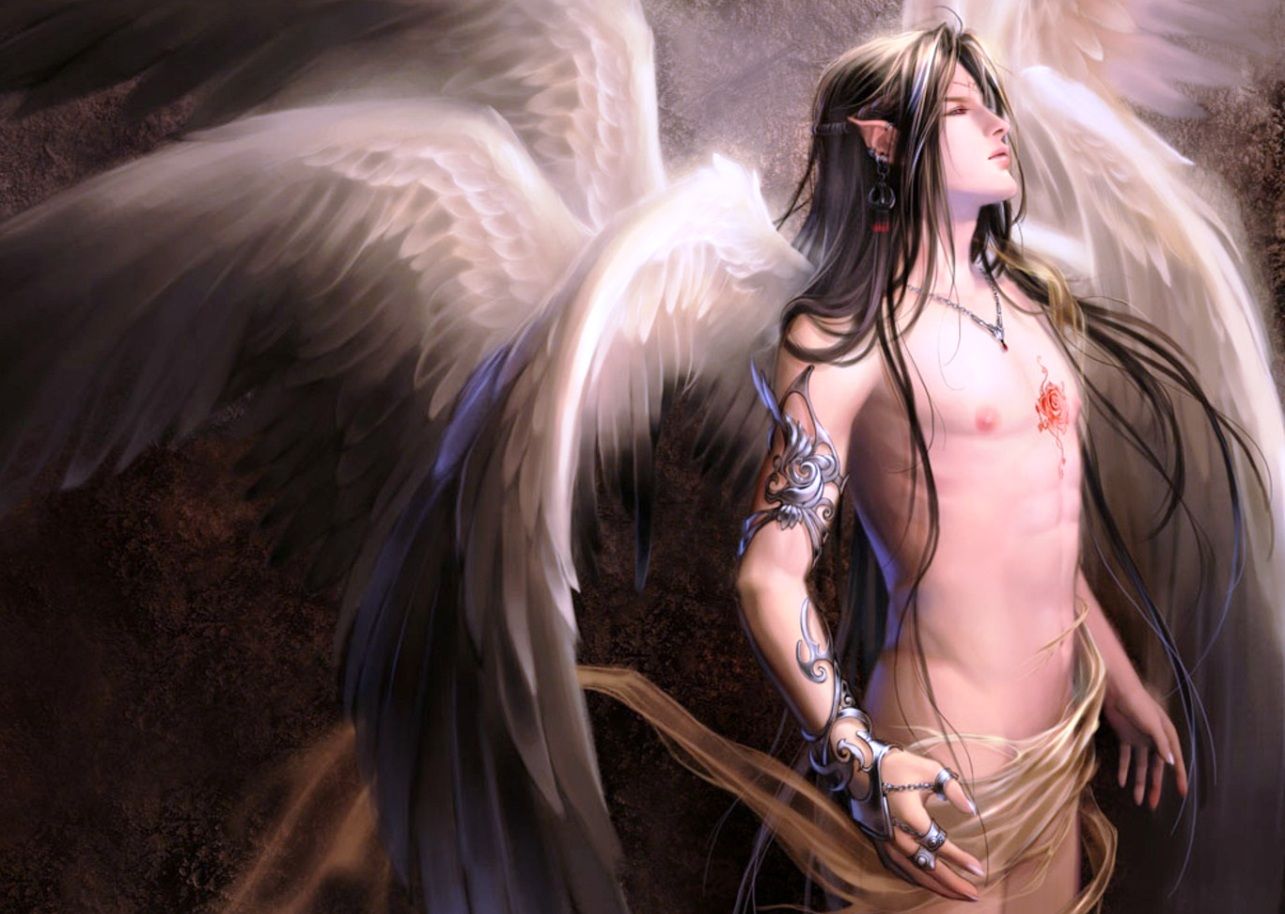 Male Angel Wallpapers