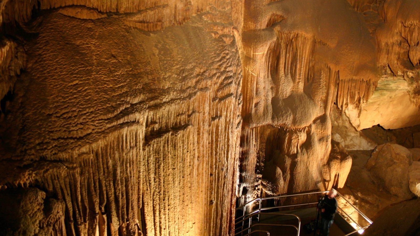 Mammoth Cave National Park Wallpapers