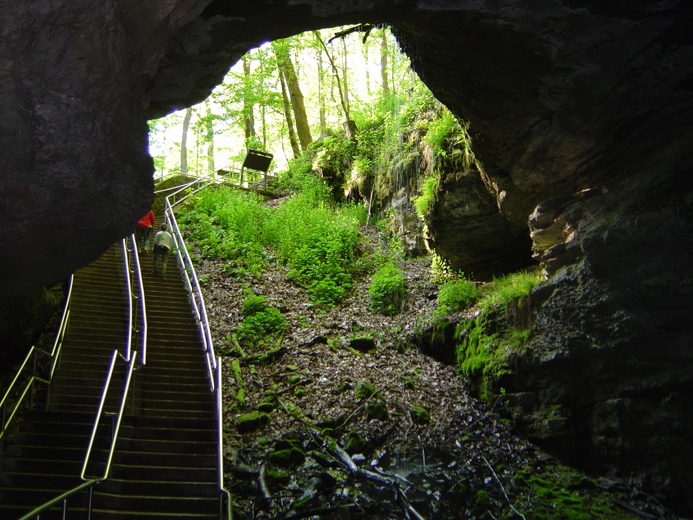 Mammoth Cave National Park Wallpapers