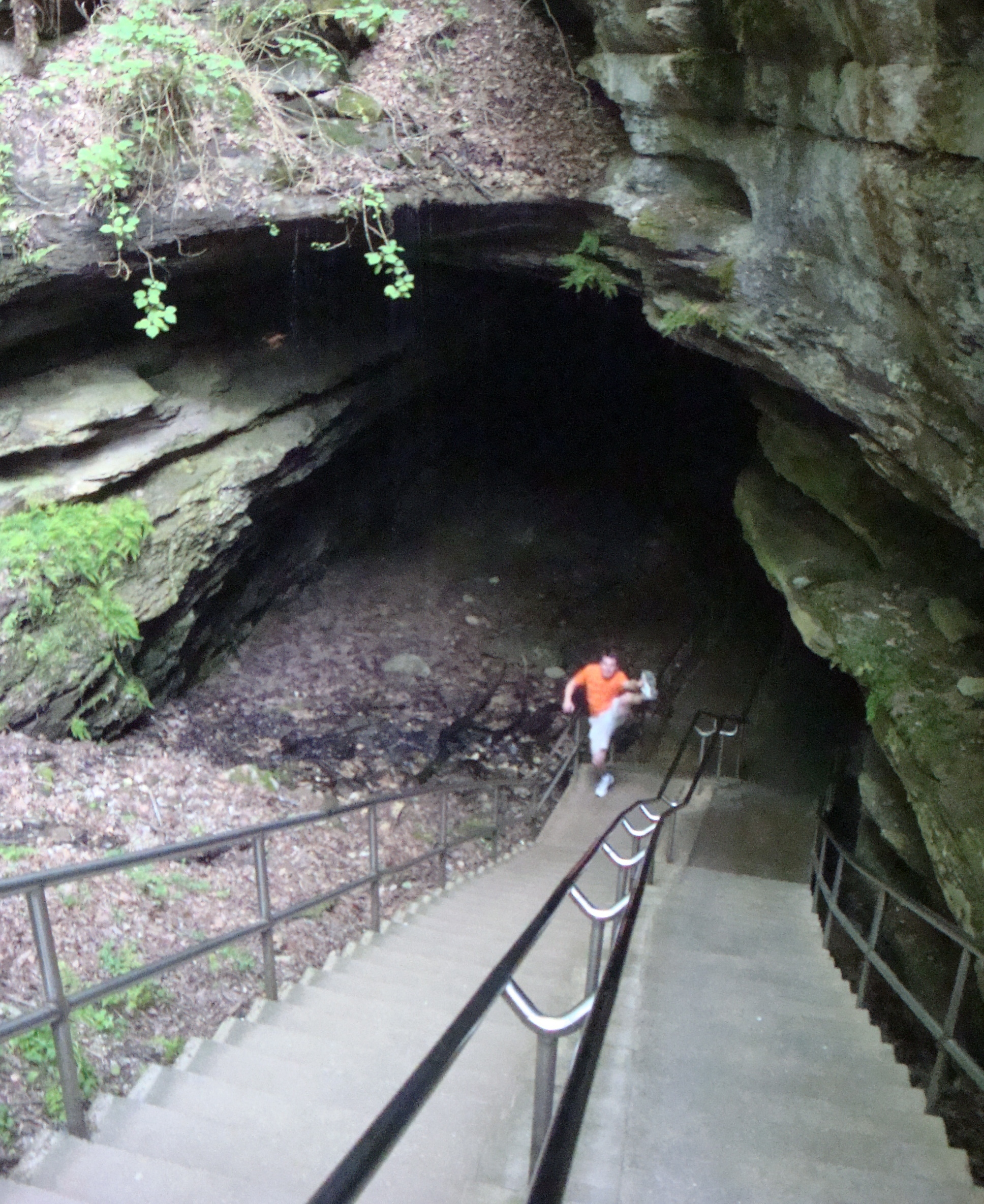 Mammoth Cave National Park Wallpapers