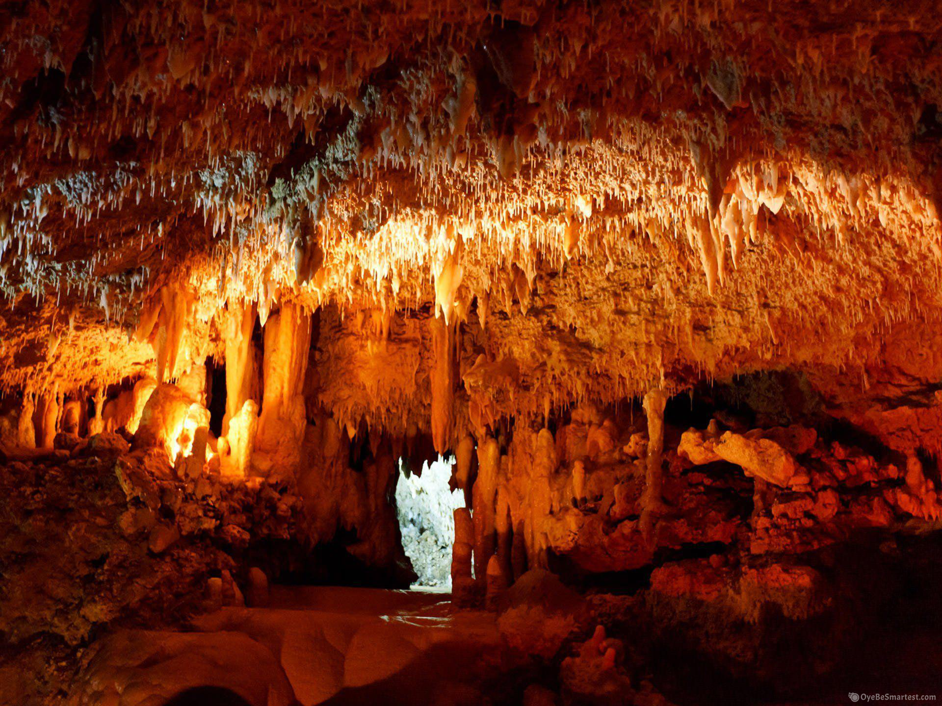 Mammoth Cave National Park Wallpapers