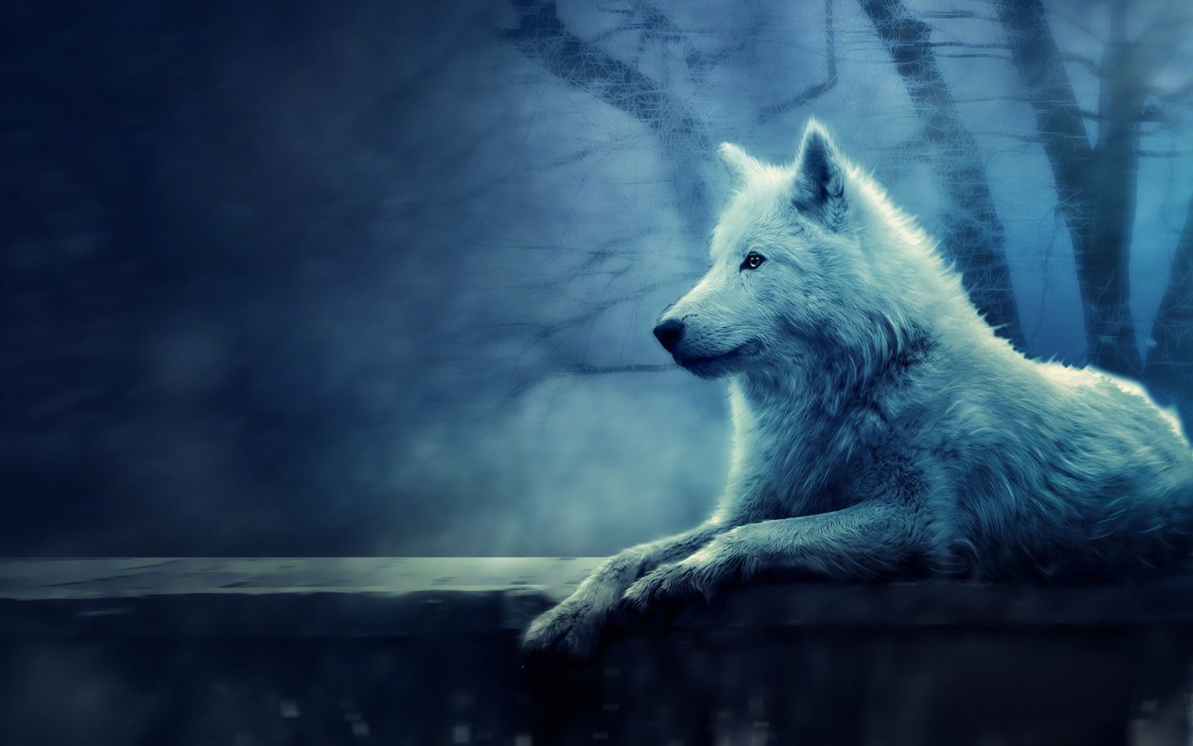 Man Riding A White Wolf
 Wallpapers