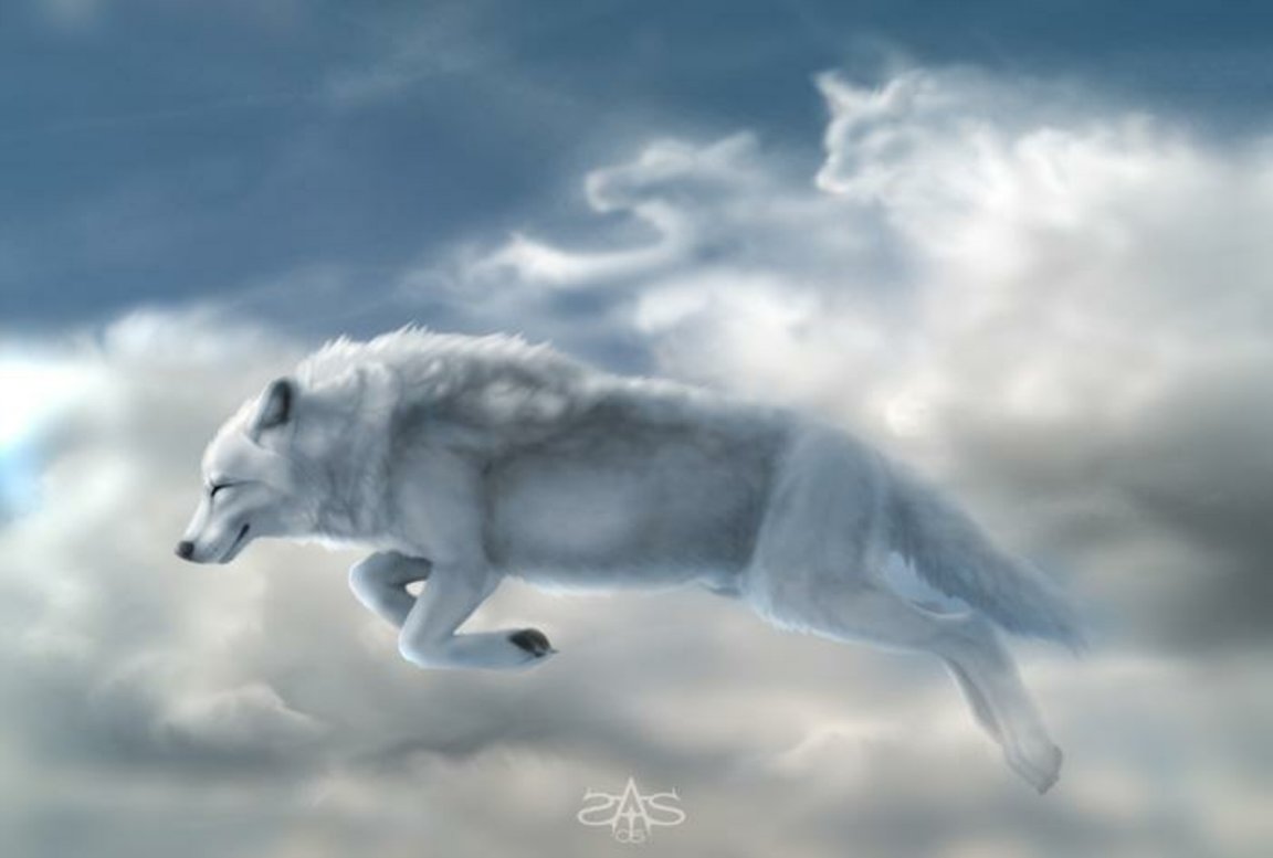 Man Riding A White Wolf
 Wallpapers