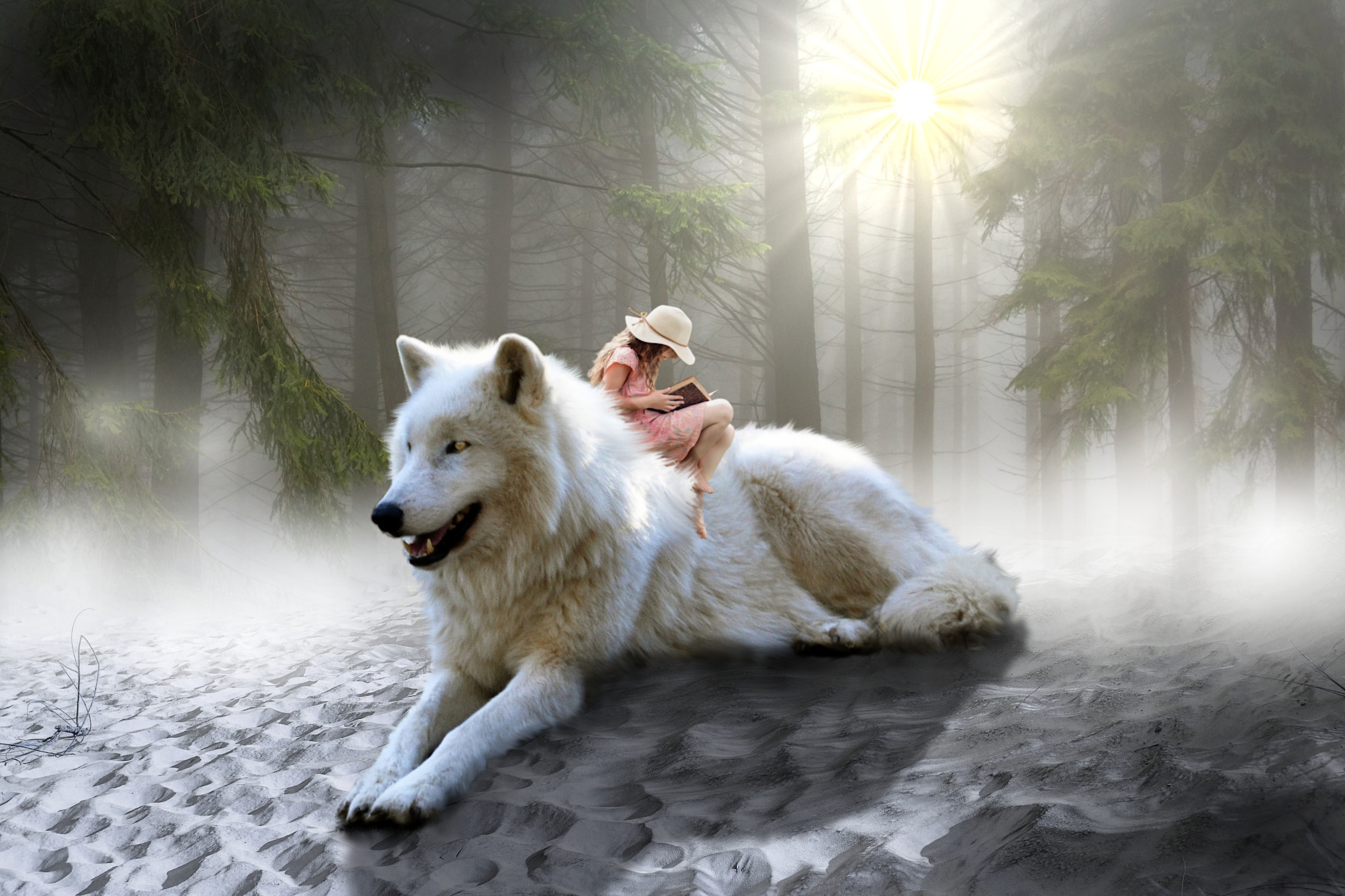 Man Riding A White Wolf
 Wallpapers