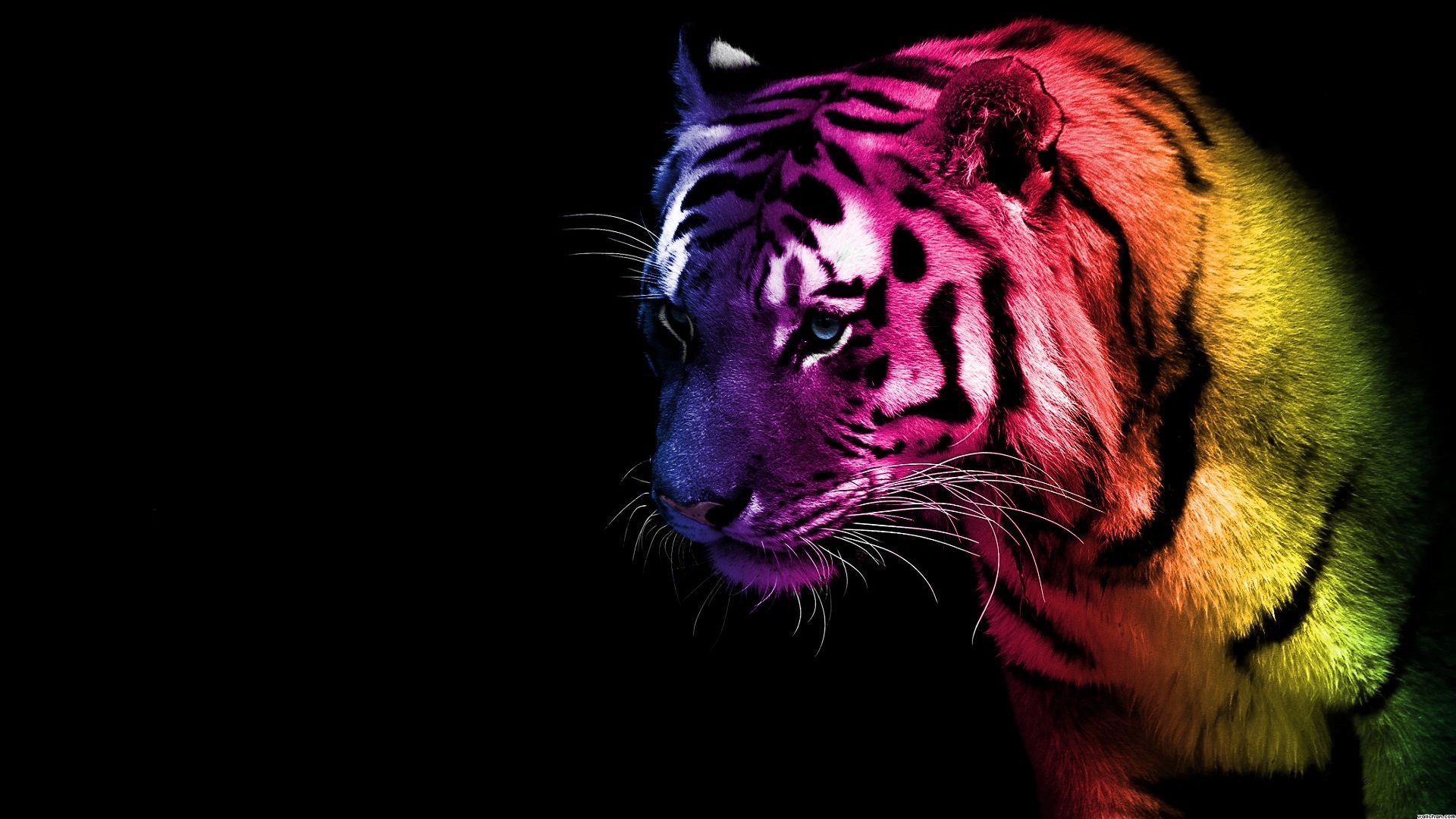 Man With Neon Tiger Synthwave Wallpapers