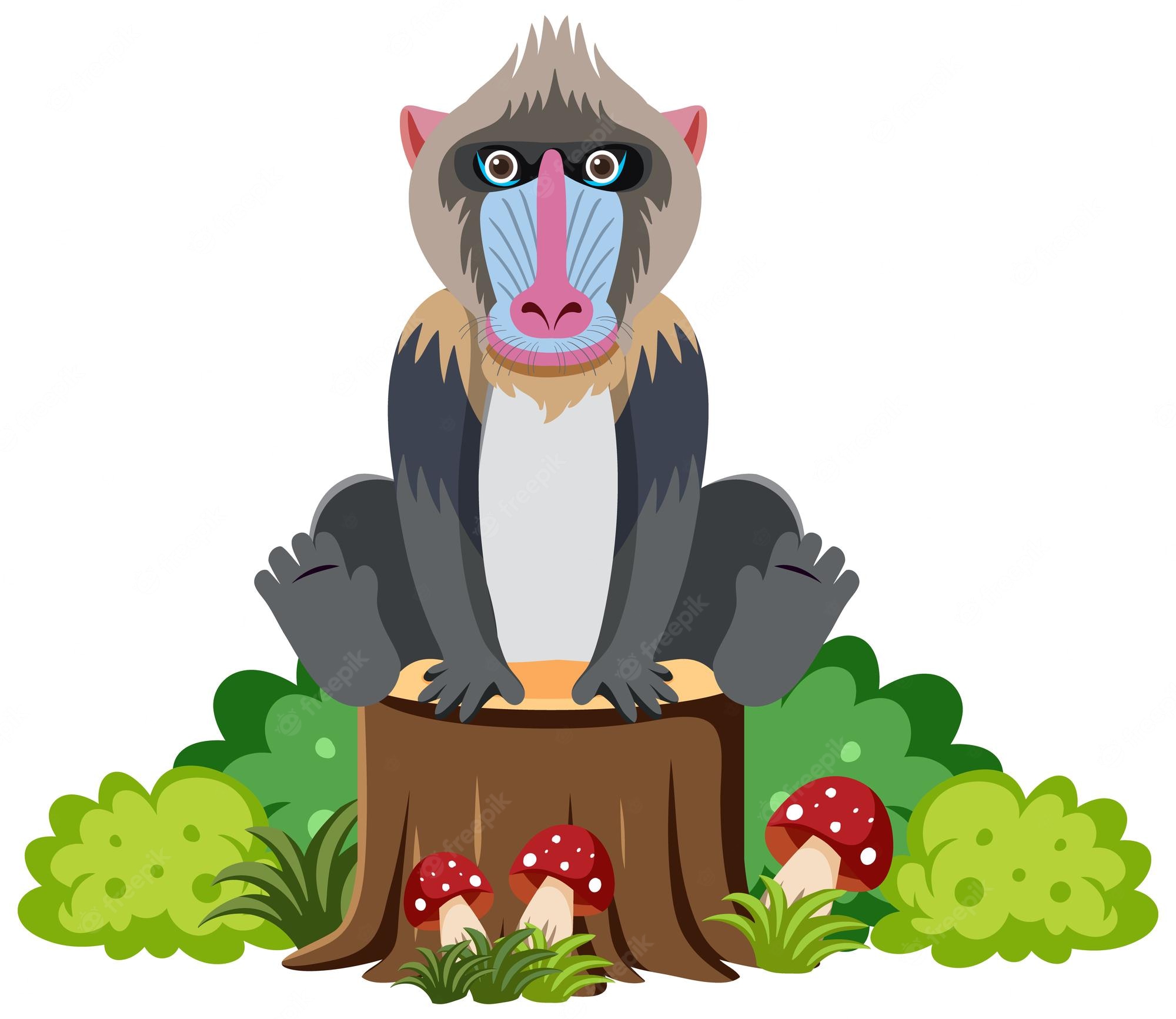 Mandrill Wallpapers