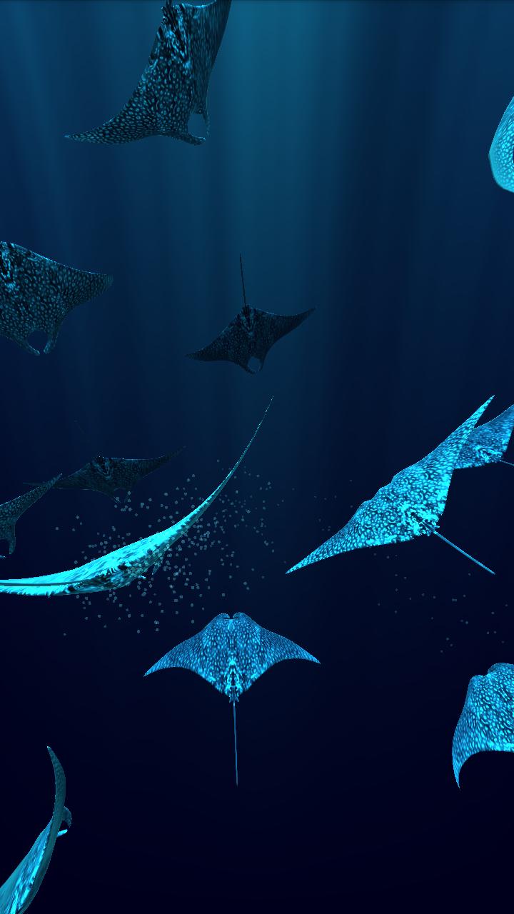 Manta Ray Wallpapers