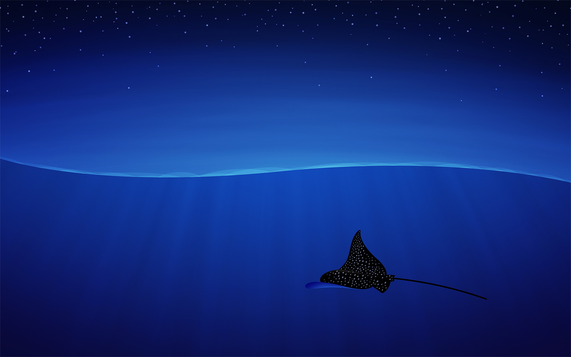 Manta Ray Wallpapers