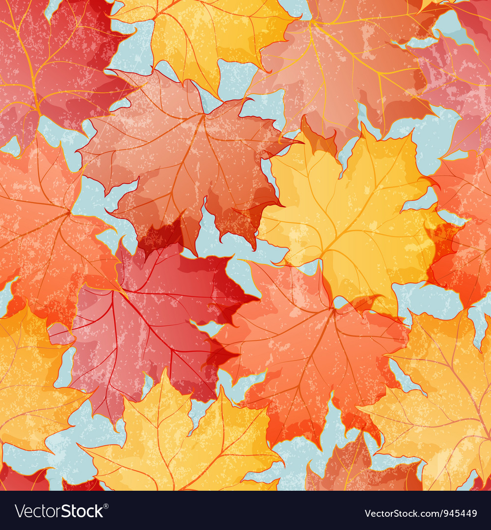 Maple Leaves Wallpapers