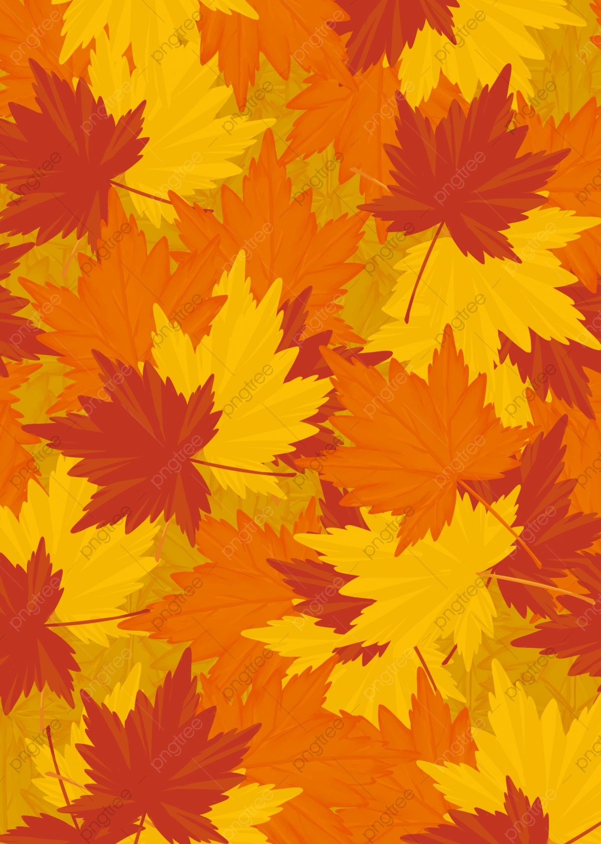 Maple Leaves Wallpapers