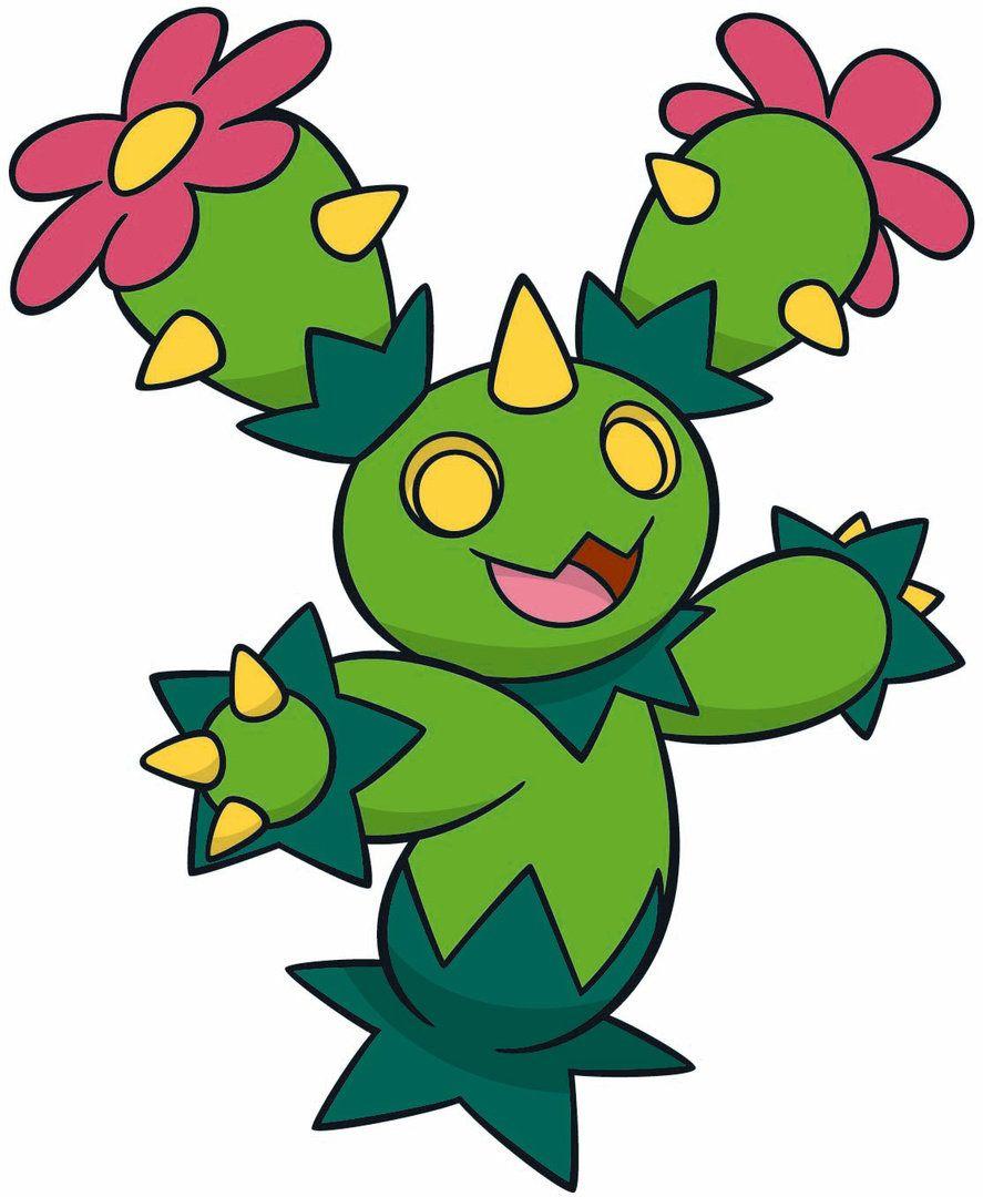 Maractus Hd Wallpapers