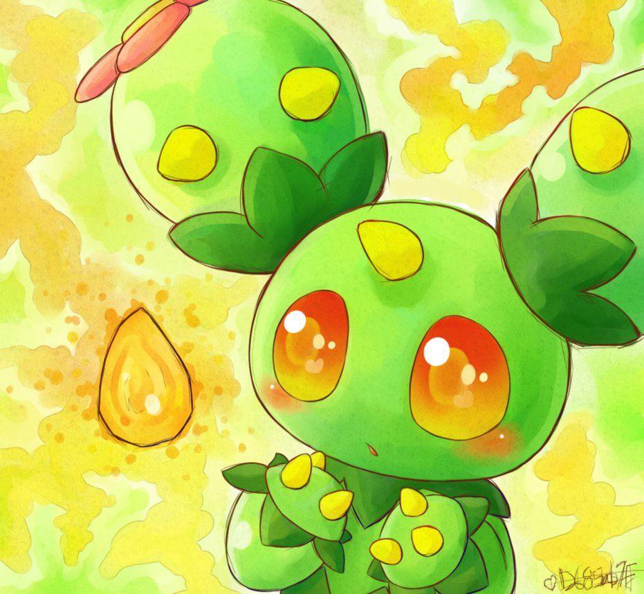 Maractus Hd Wallpapers