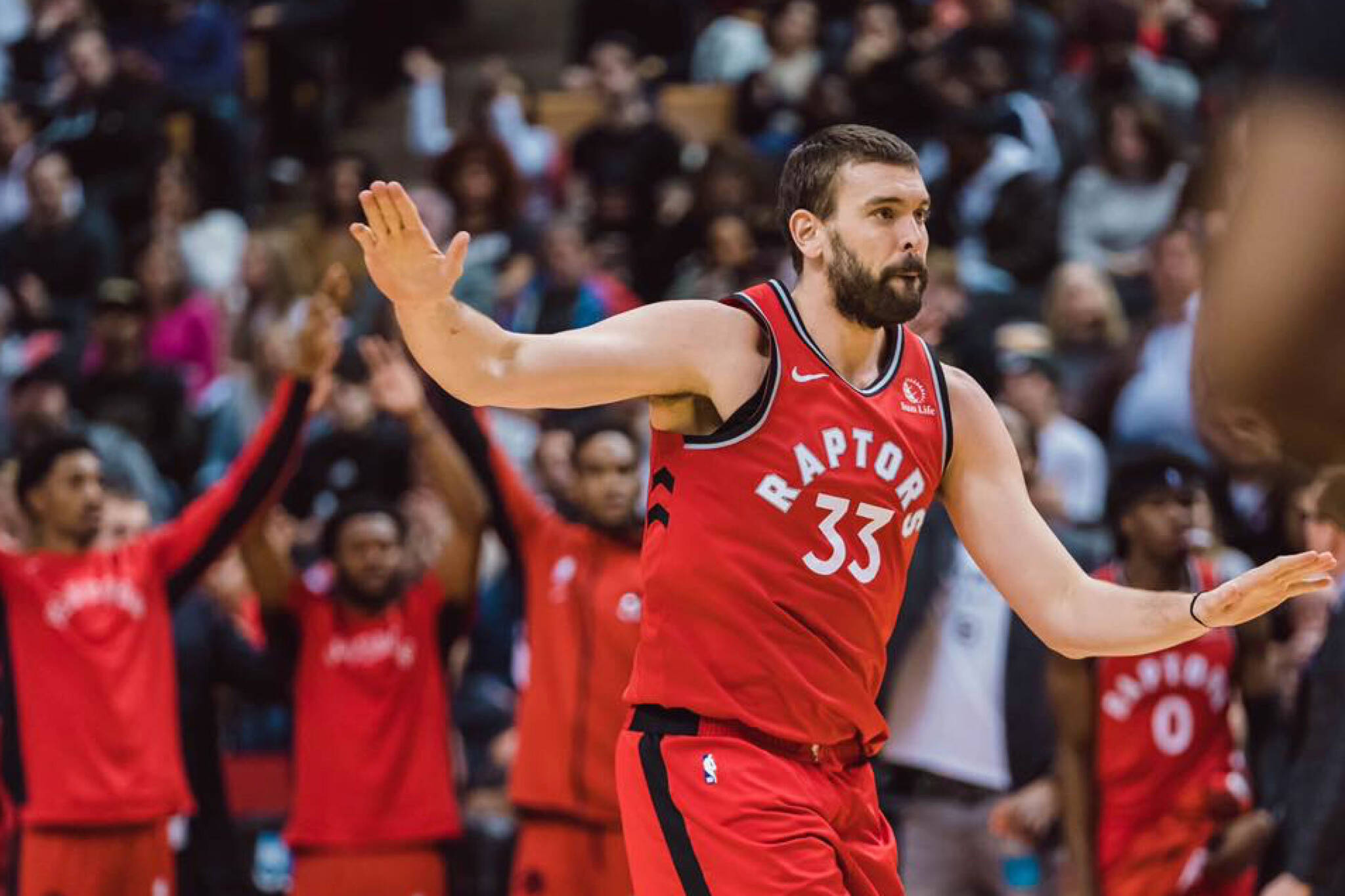 Marc Gasol Toronto Raptors Wallpapers