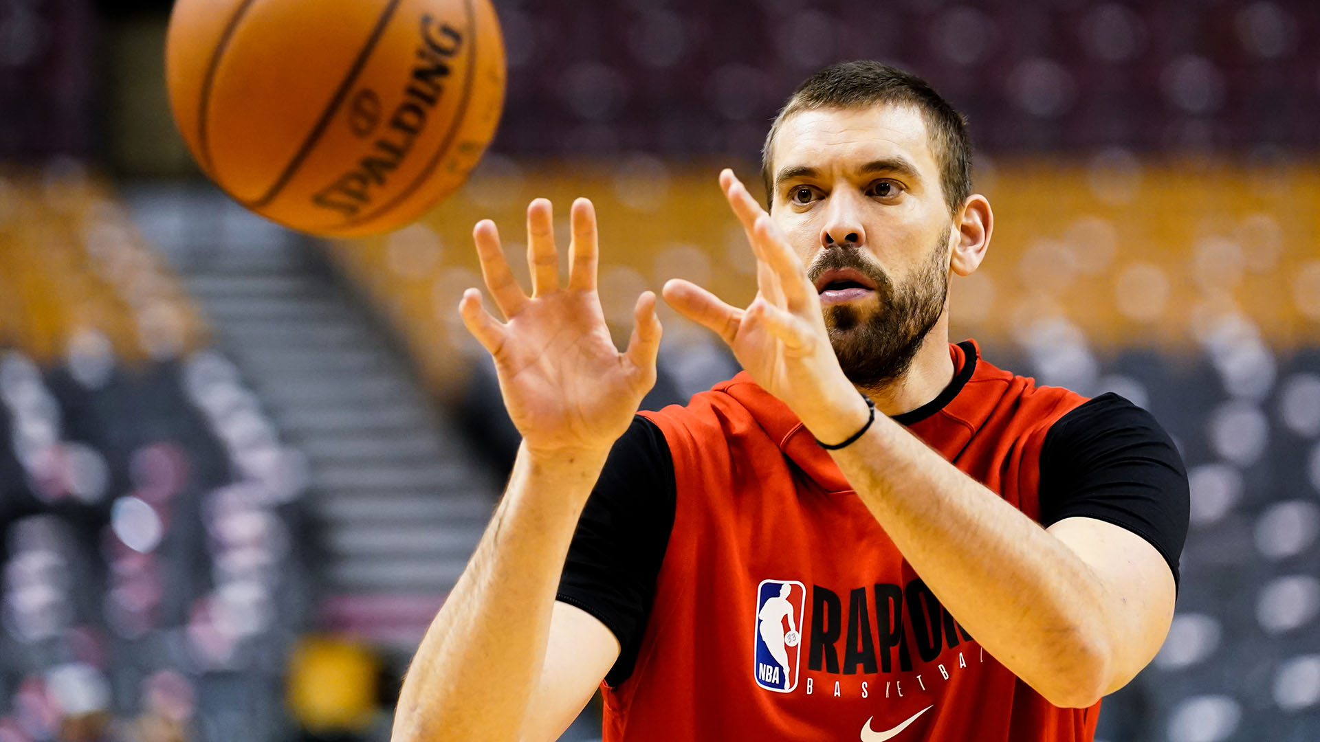 Marc Gasol Toronto Raptors Wallpapers