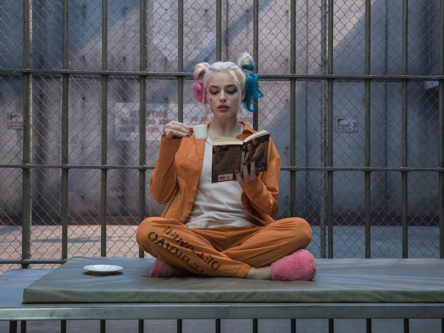 Margot New Harley Quinn Wallpapers