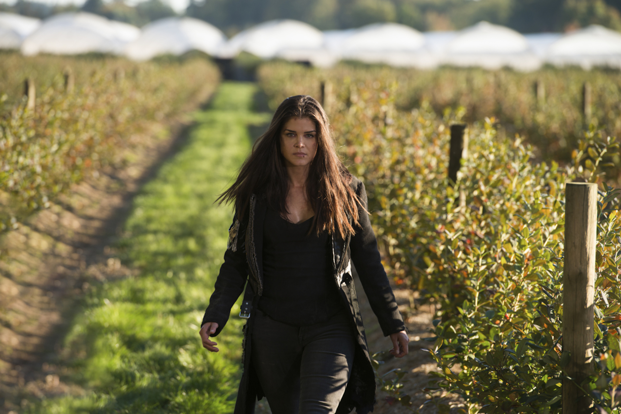 Marie Avgeropoulos As Octavia Blake In The 100 Wallpapers