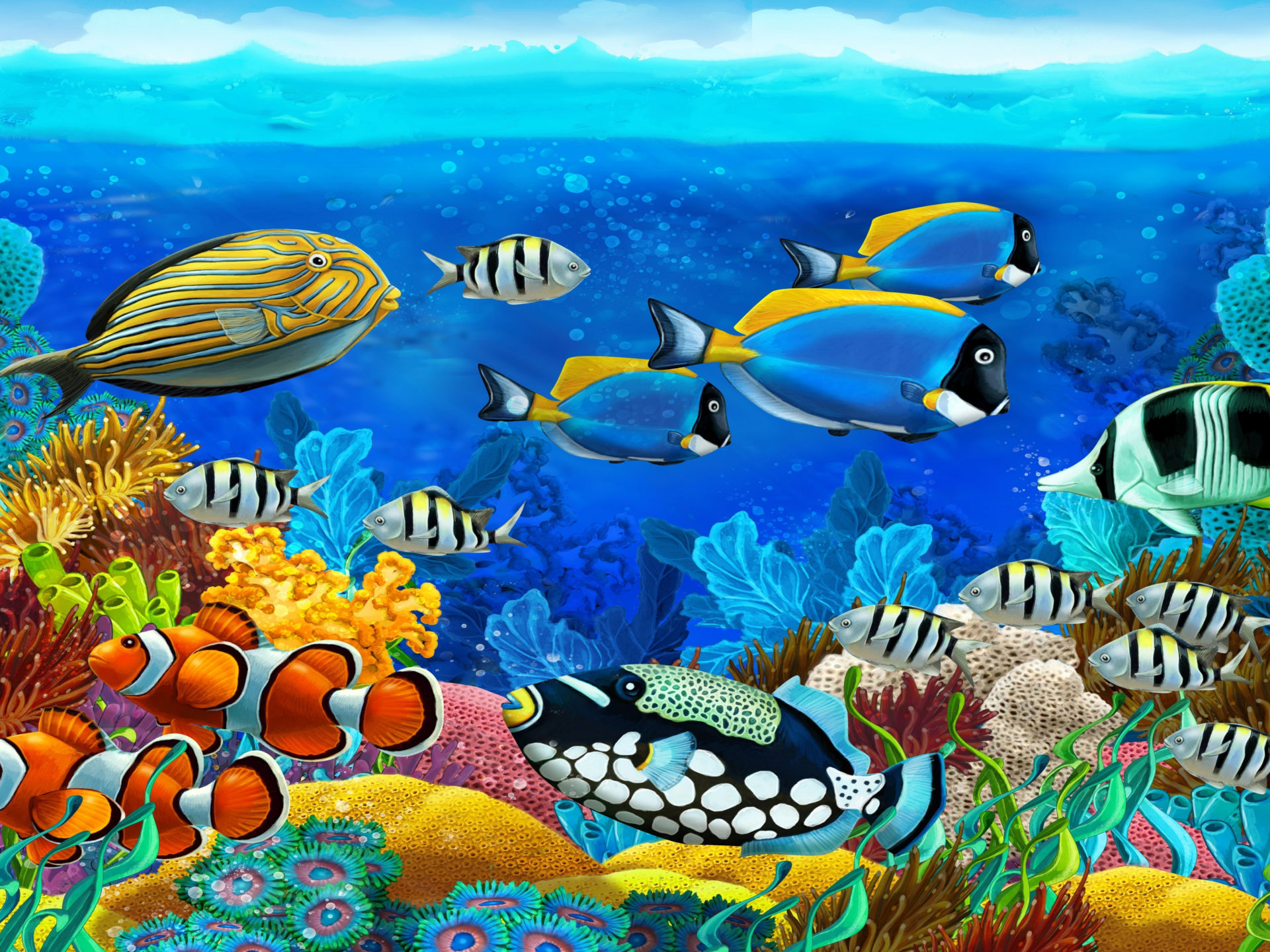 Marine Life Wallpapers