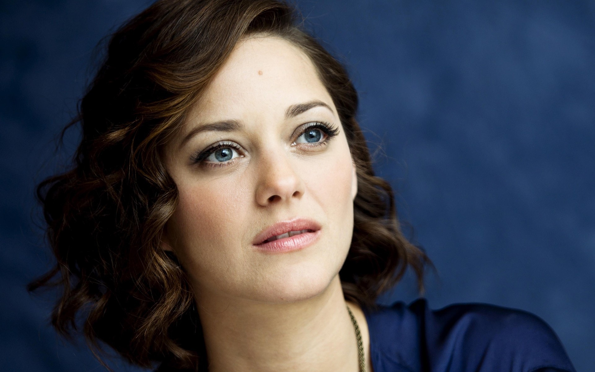 Marion Cotillard 2017 Wallpapers