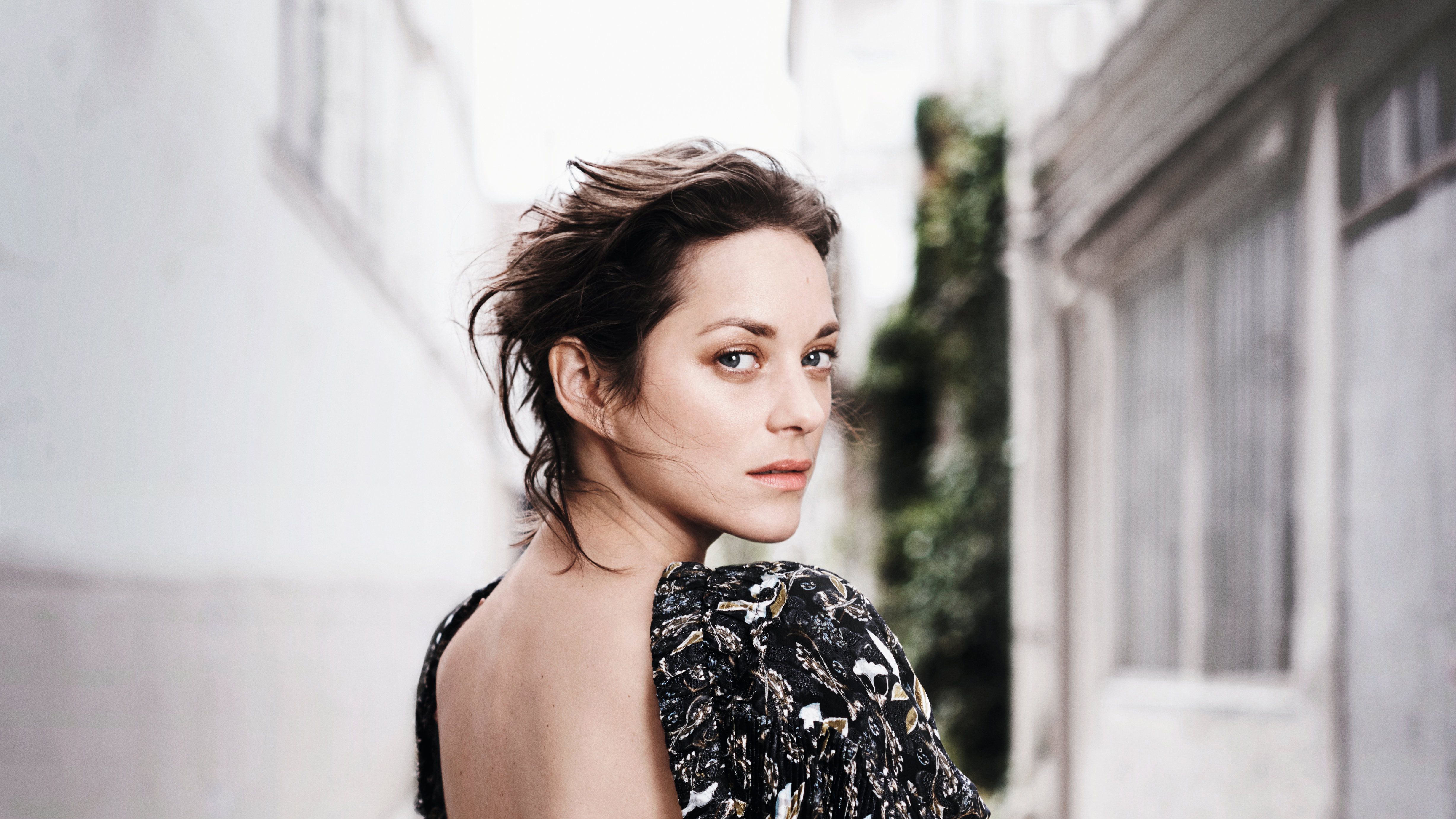 Marion Cotillard 2017 Wallpapers