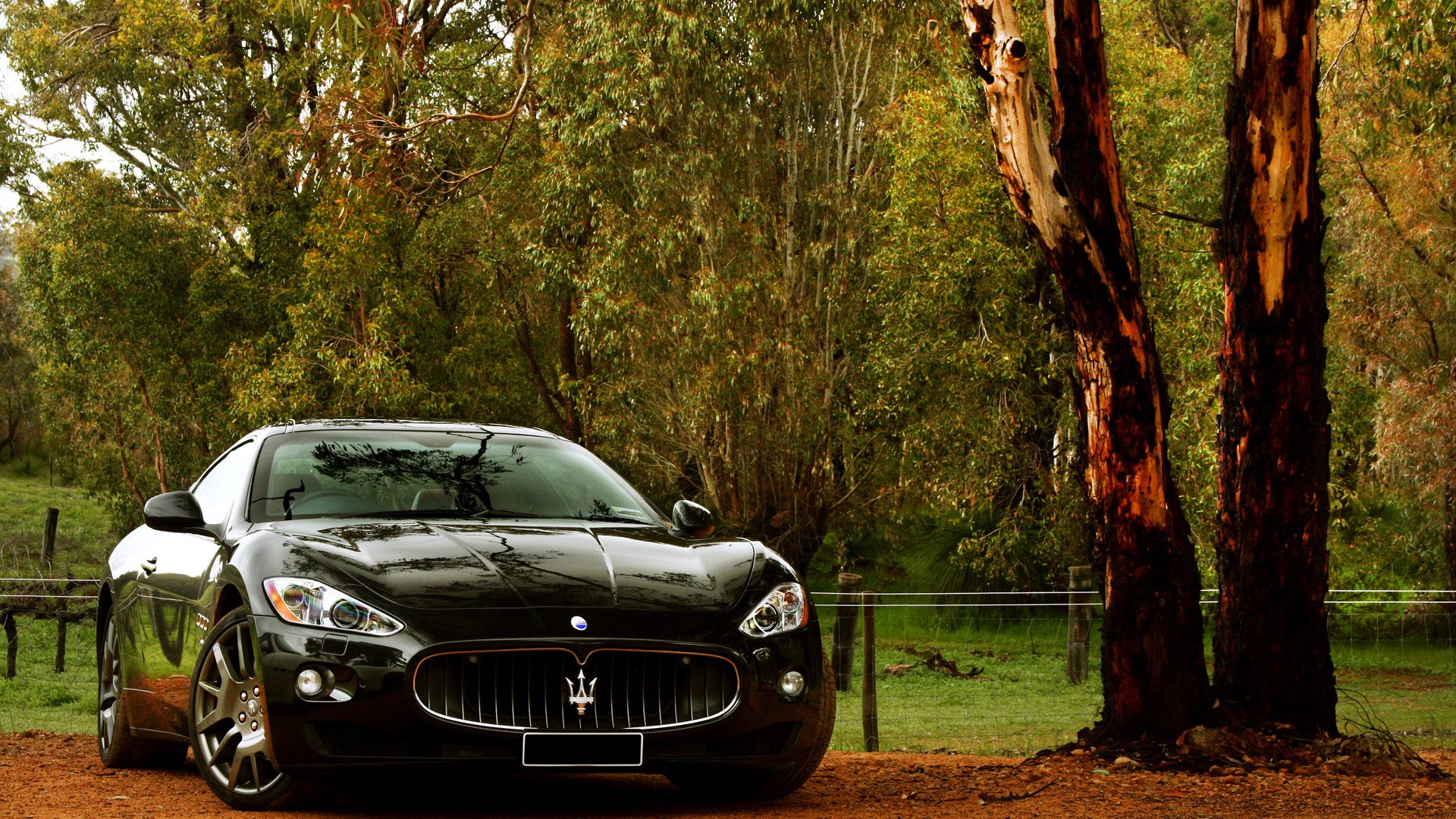 Maserati Background