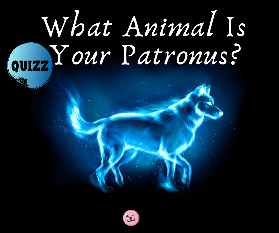 Mastiff Patronus Wallpapers