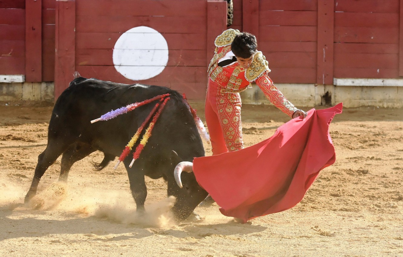 Matador Wallpapers