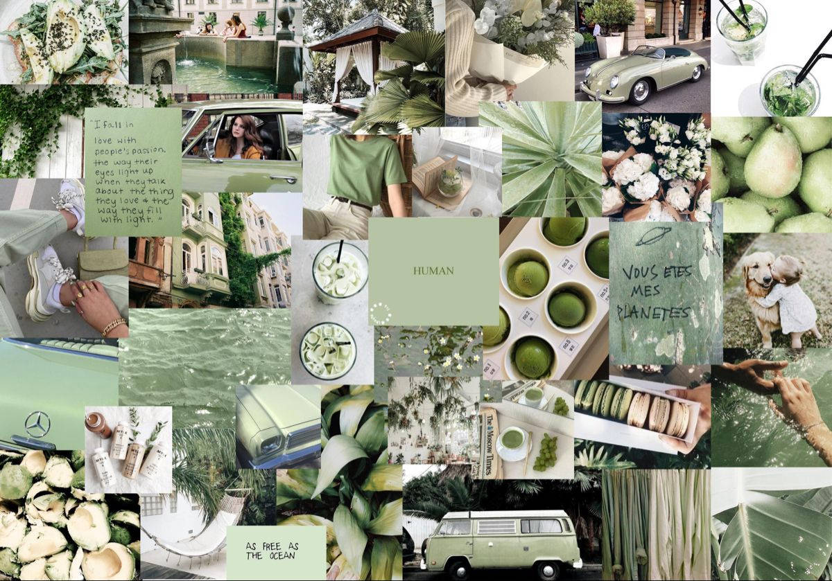 Matcha Green Wallpapers